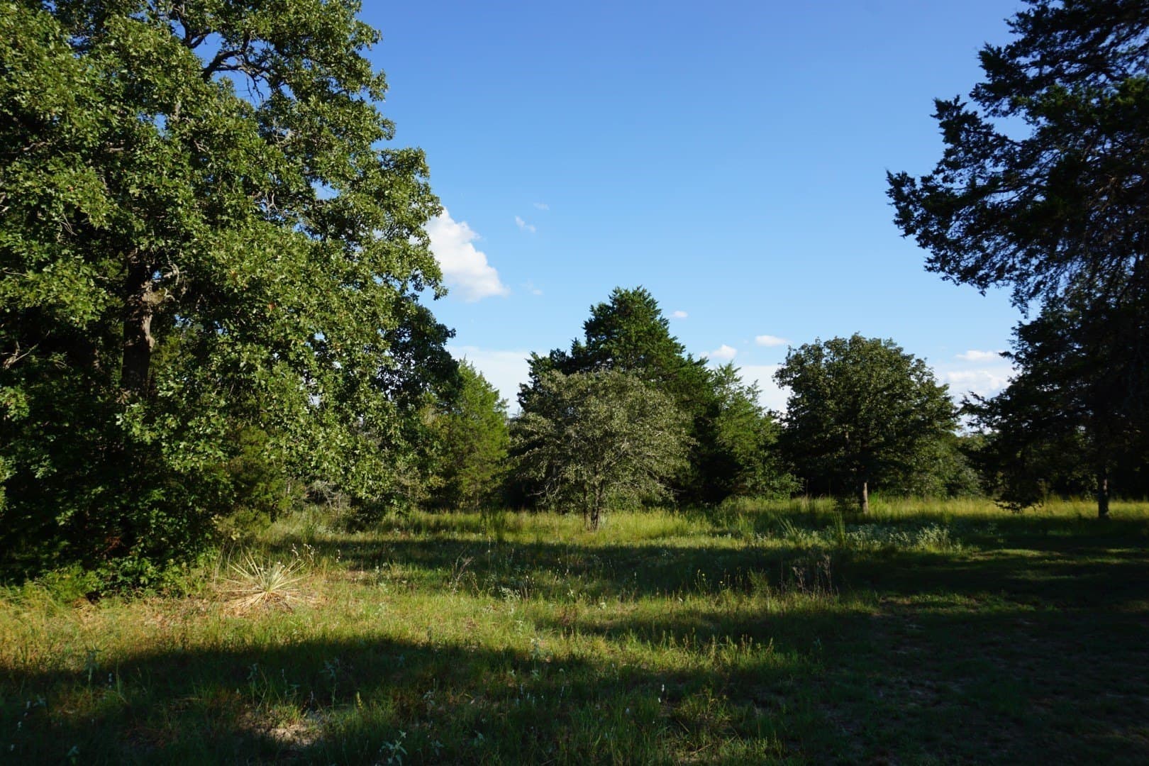 3 acres in Henderson County - photo 3