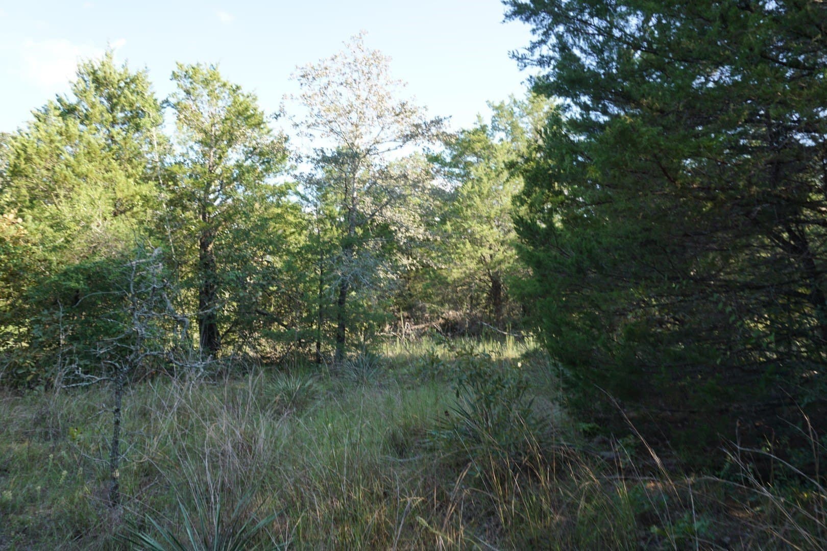 3 acres in Henderson County - photo 12