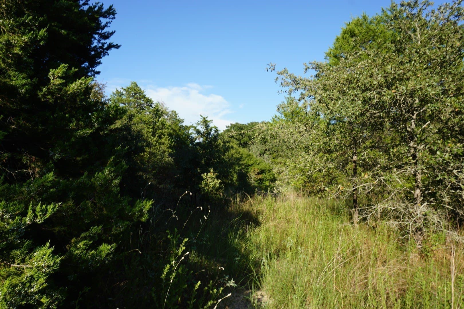 3 acres in Henderson County - photo 17