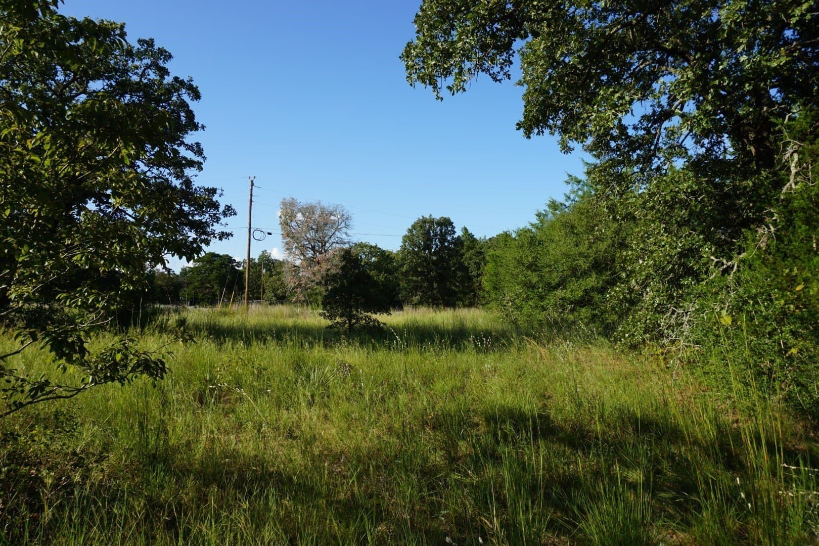 3 acres in Henderson County - photo 25