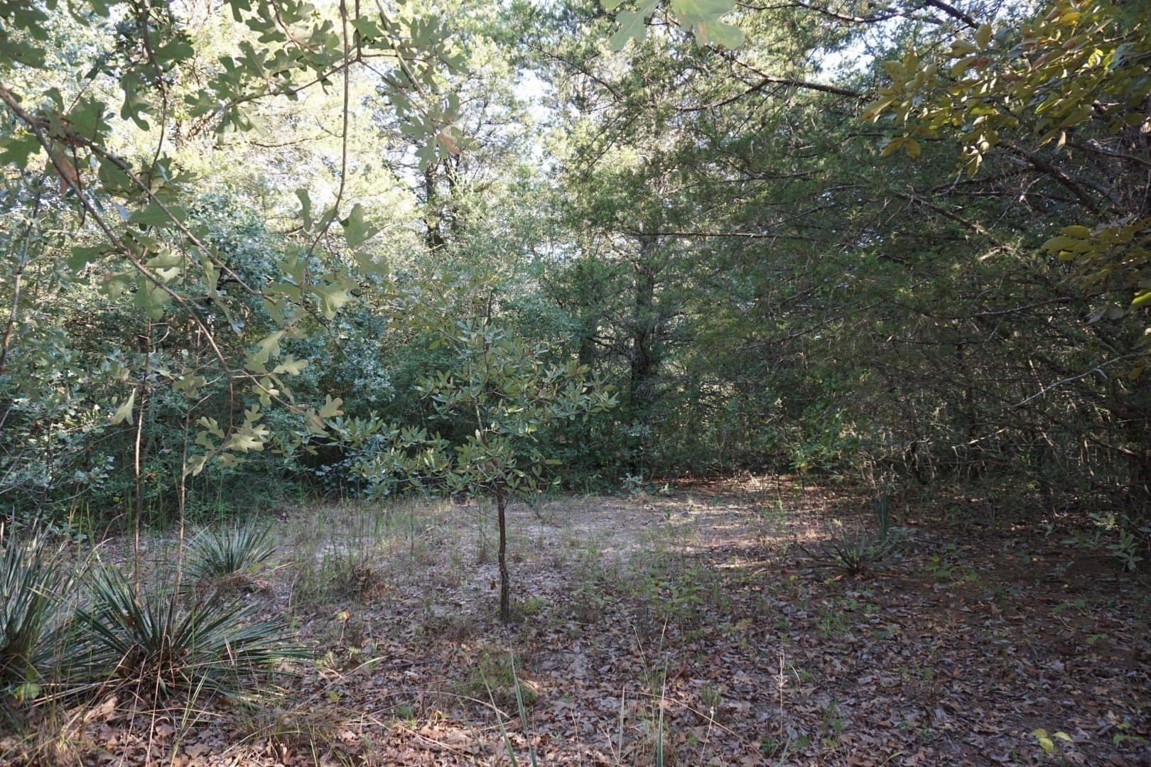 3 acres in Henderson County - photo 31