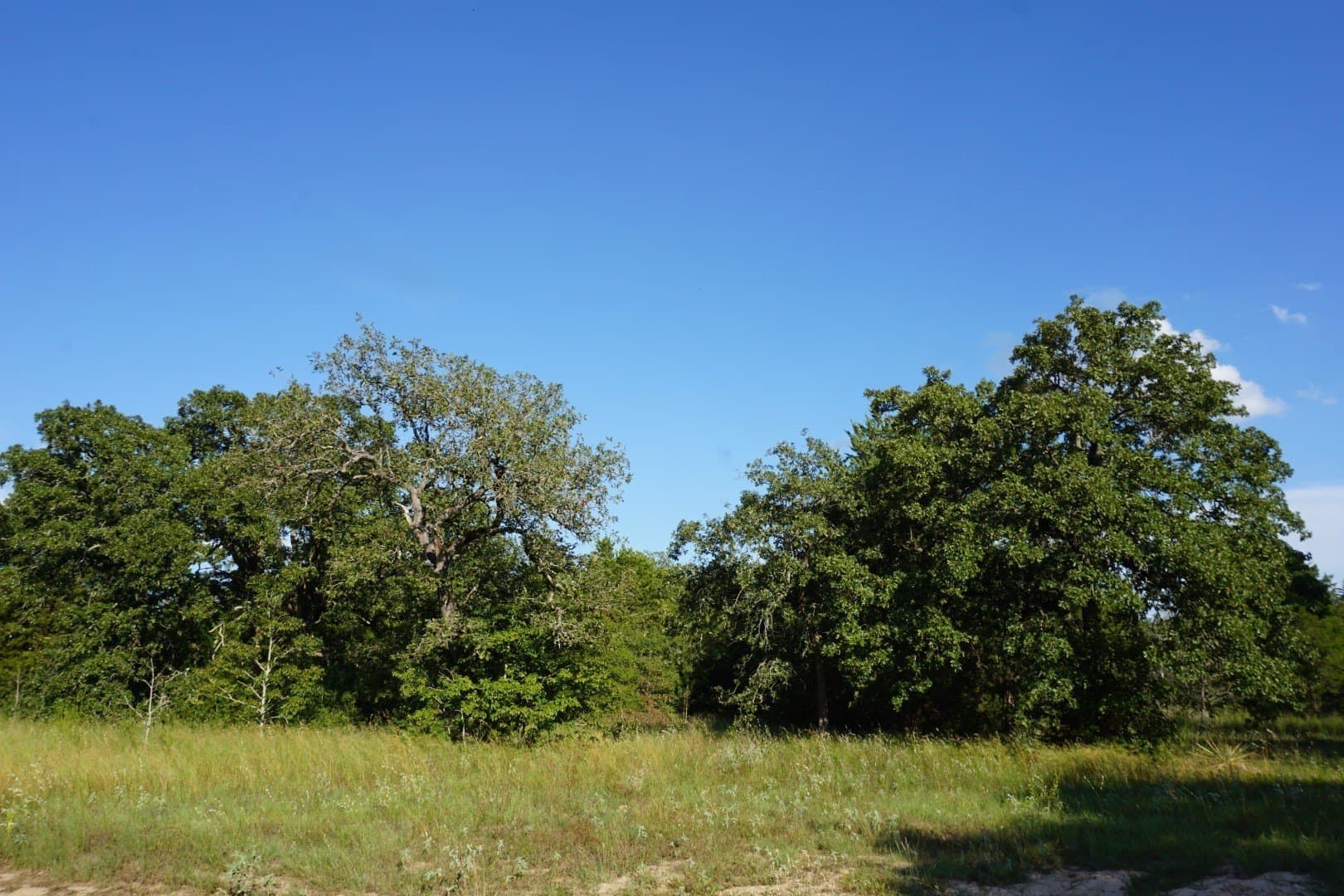 3 acres in Henderson County - photo 2