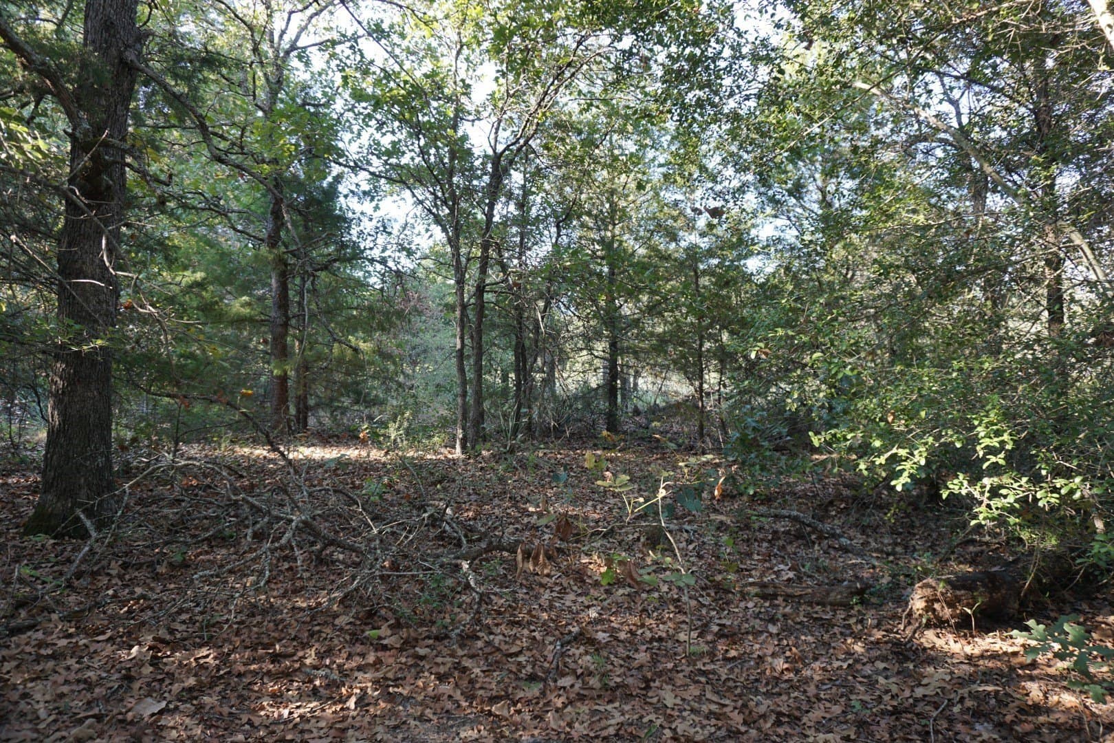 3 acres in Henderson County - photo 35