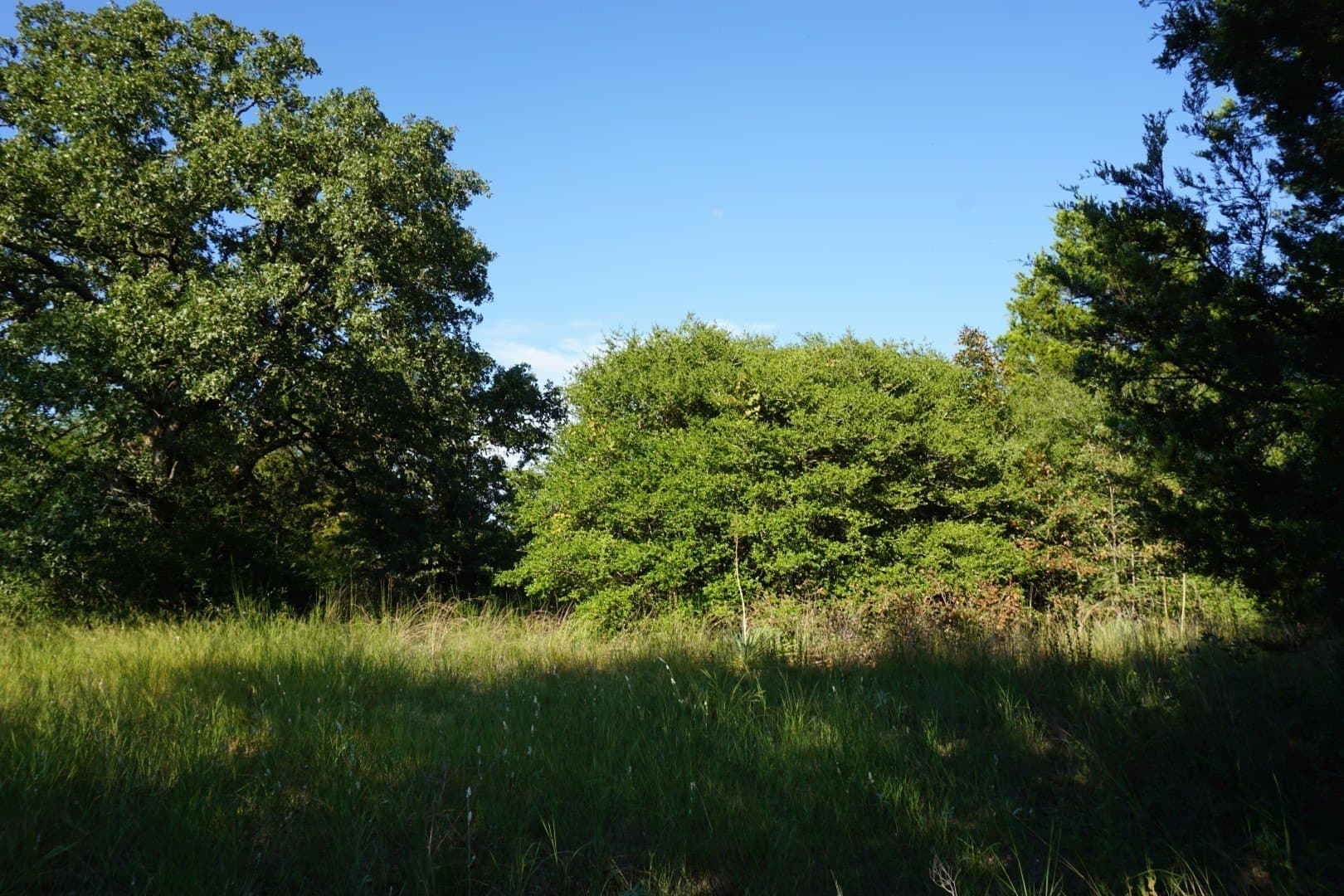 3 acres in Henderson County - photo 22