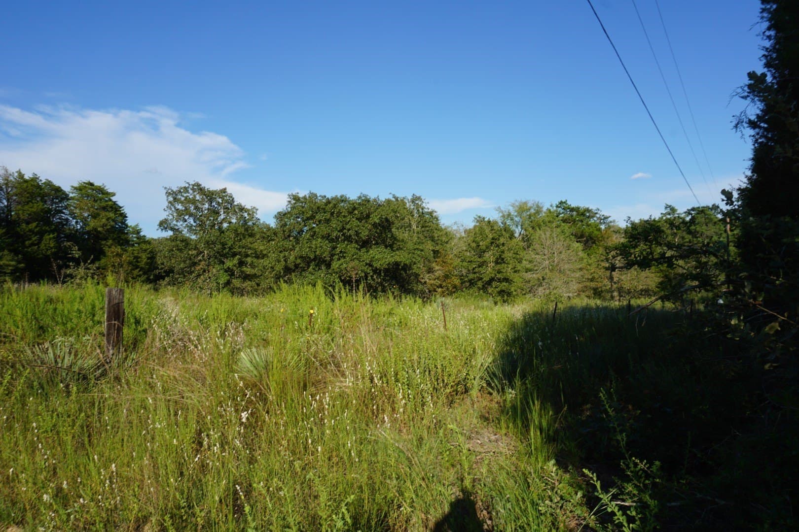 3 acres in Henderson County - photo 32