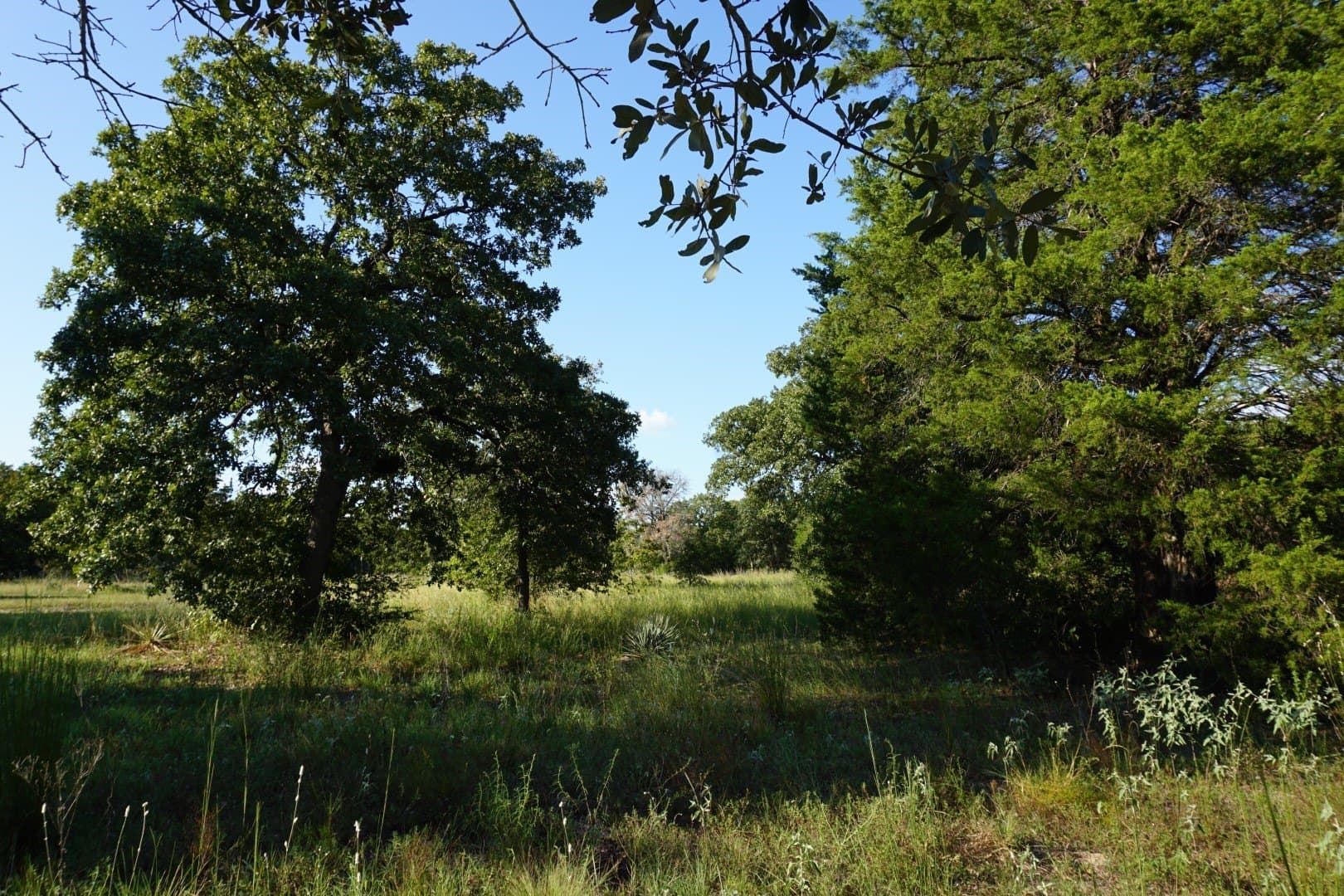3 acres in Henderson County - photo 21
