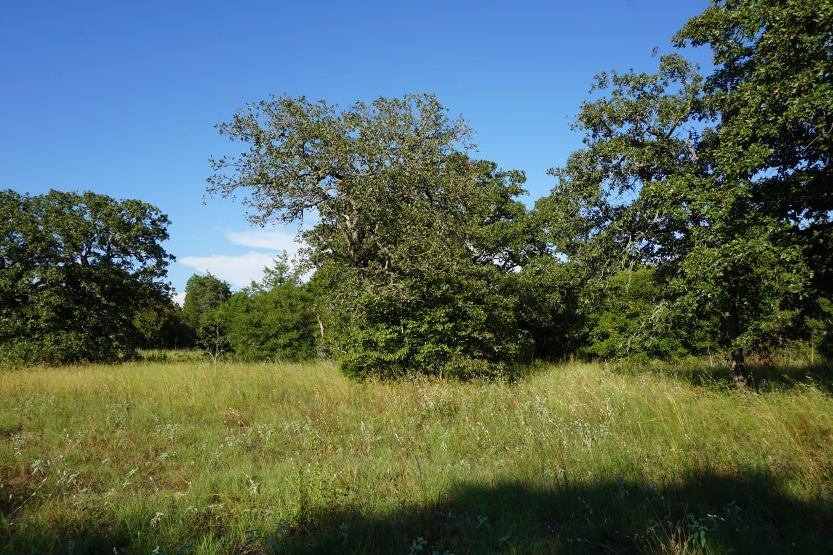 3 acres in Henderson County - photo 4
