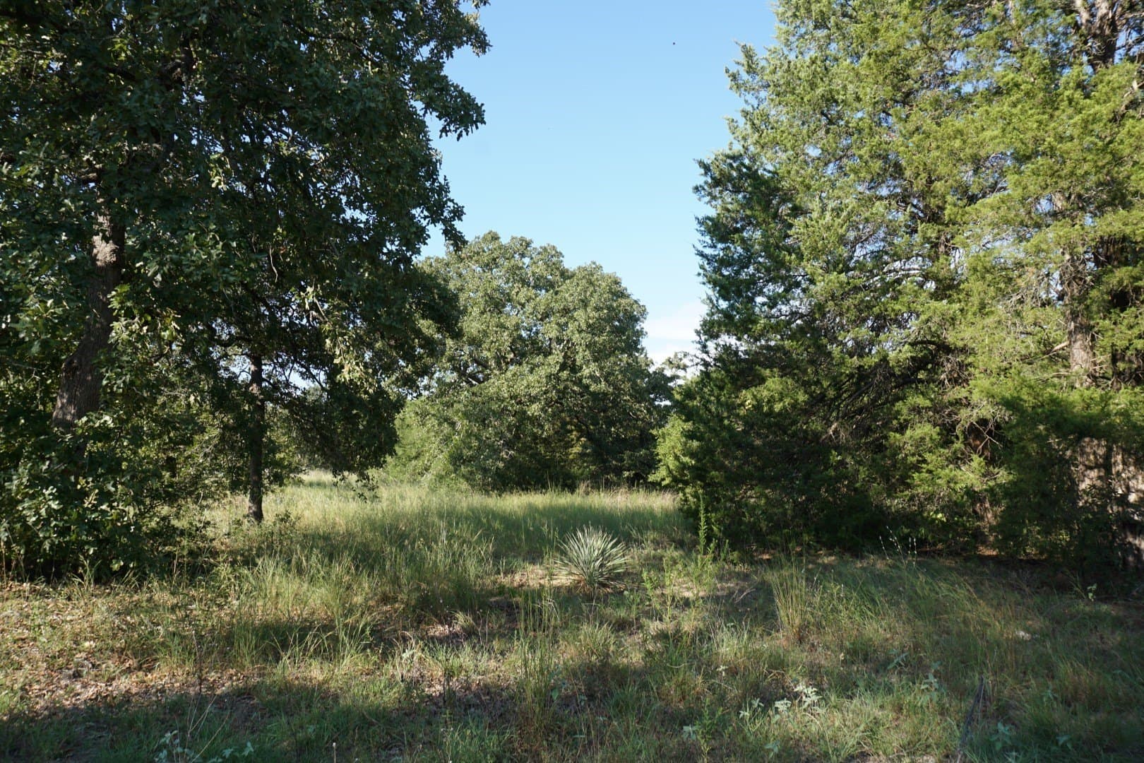 3 acres in Henderson County - photo 7