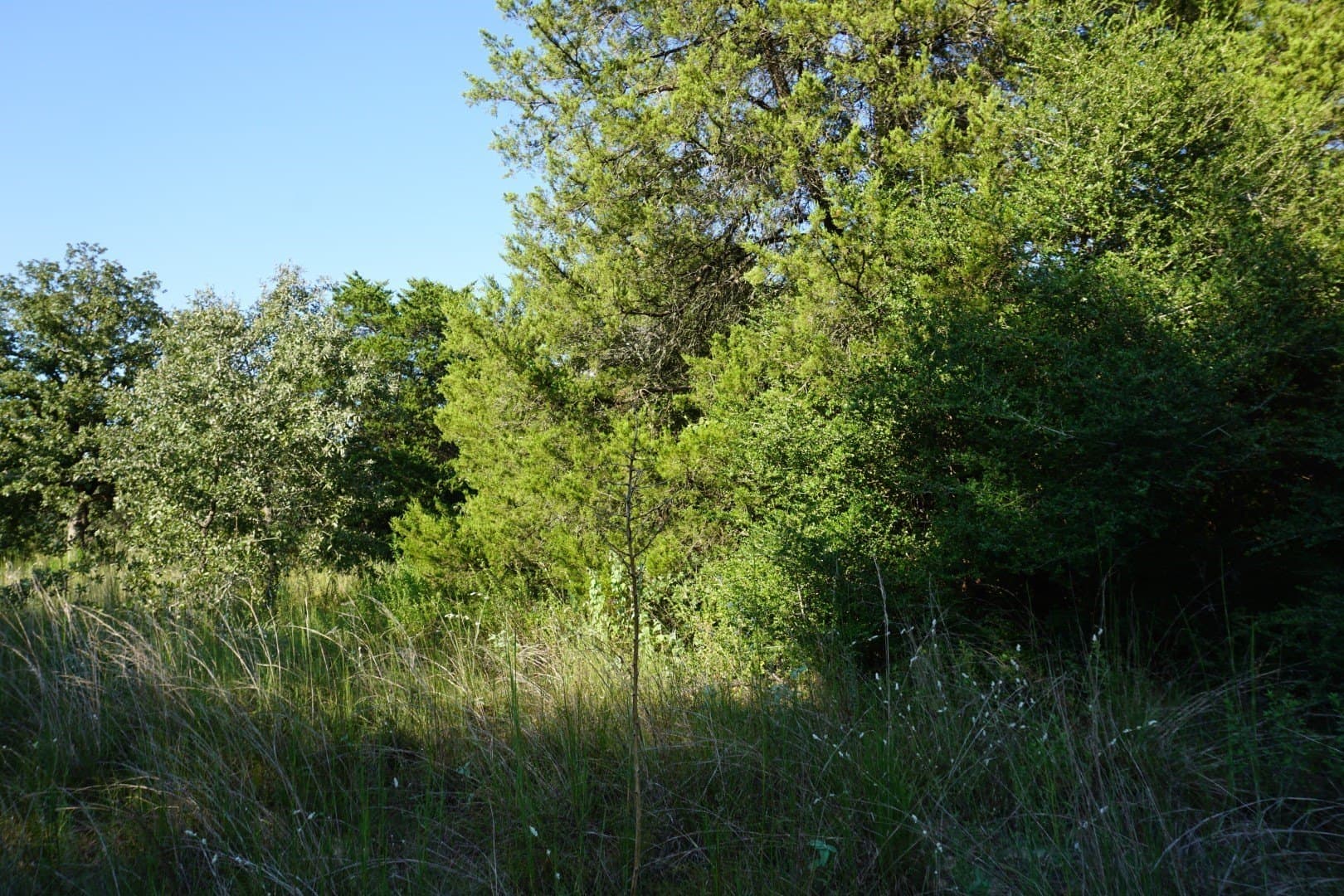 3 acres in Henderson County - photo 18