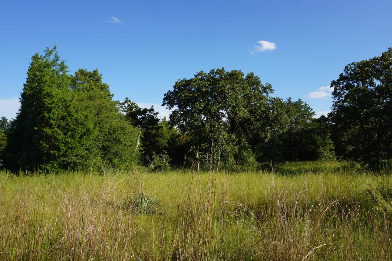 3 acres in Henderson County - photo 36