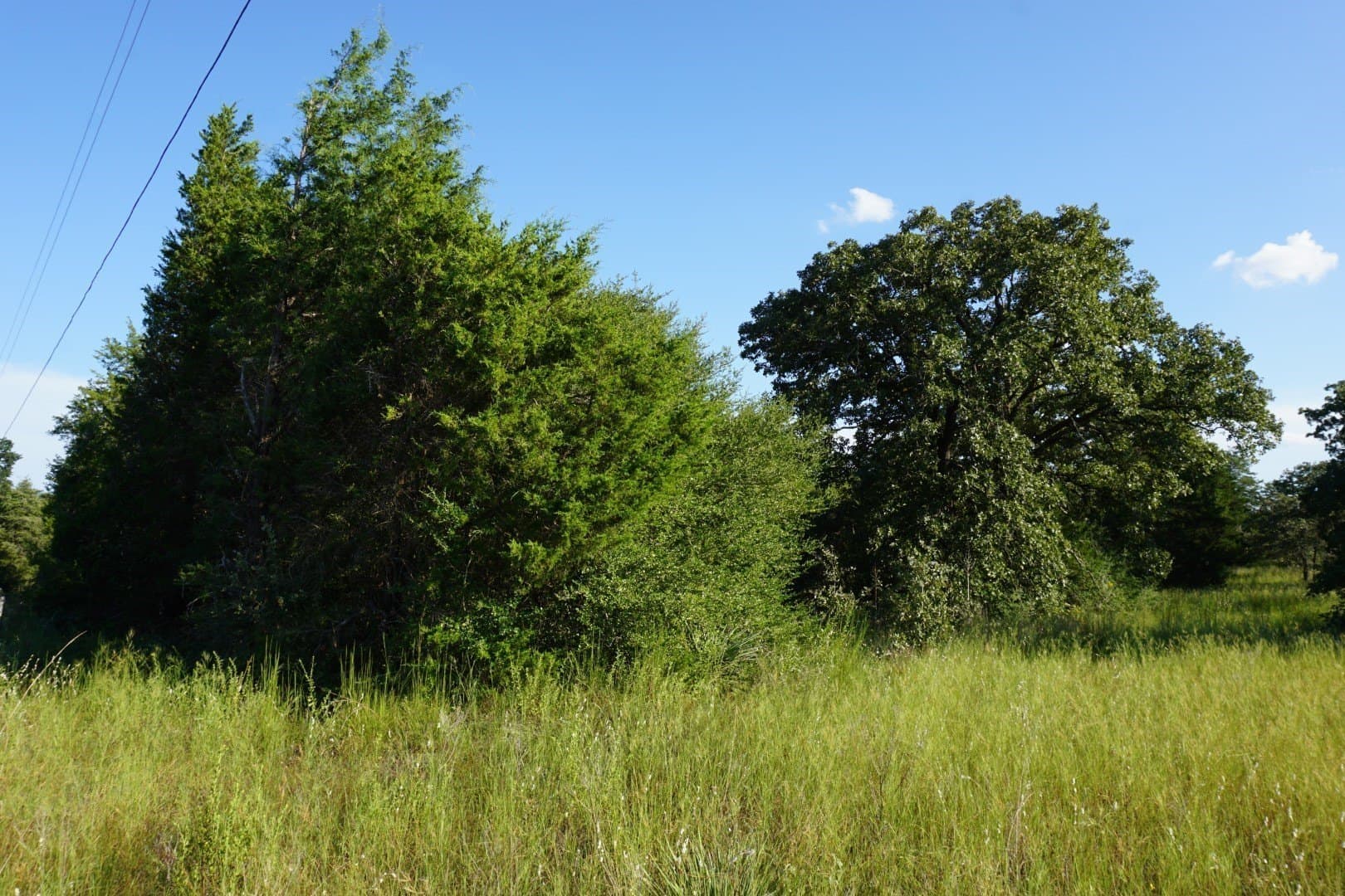 3 acres in Henderson County - photo 34
