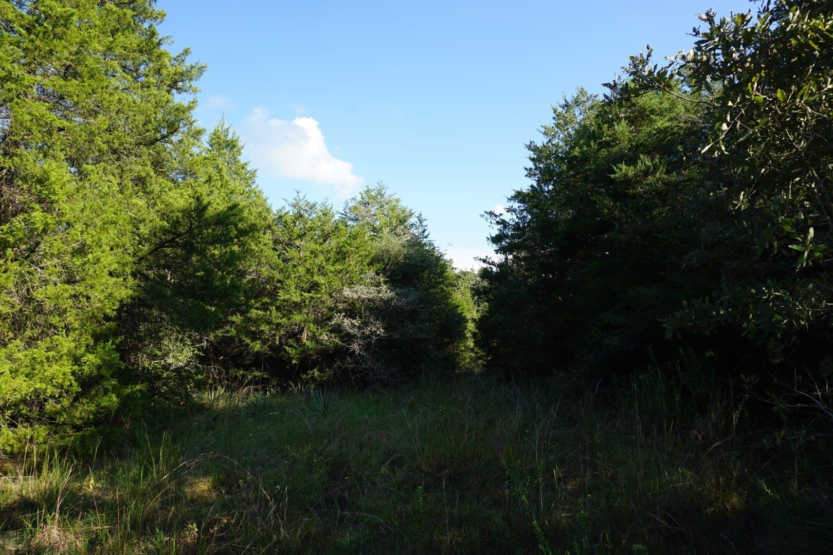 3 acres in Henderson County - photo 9