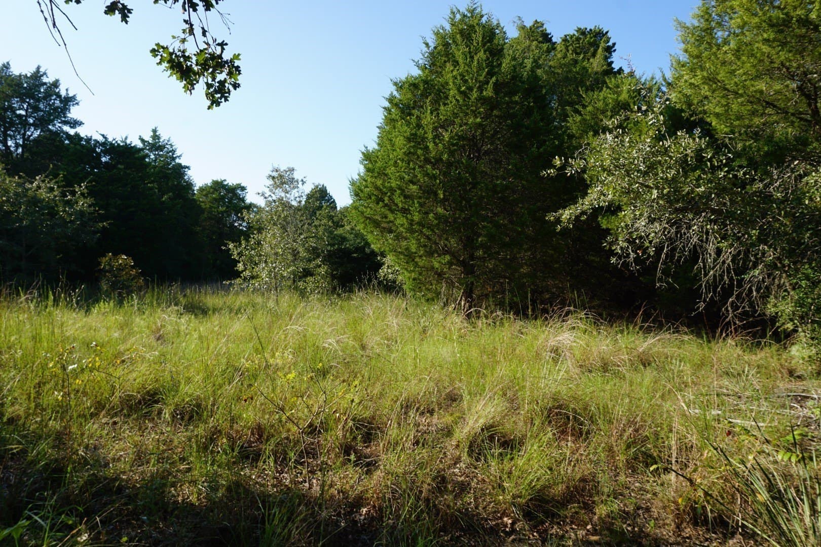 3 acres in Henderson County - photo 14