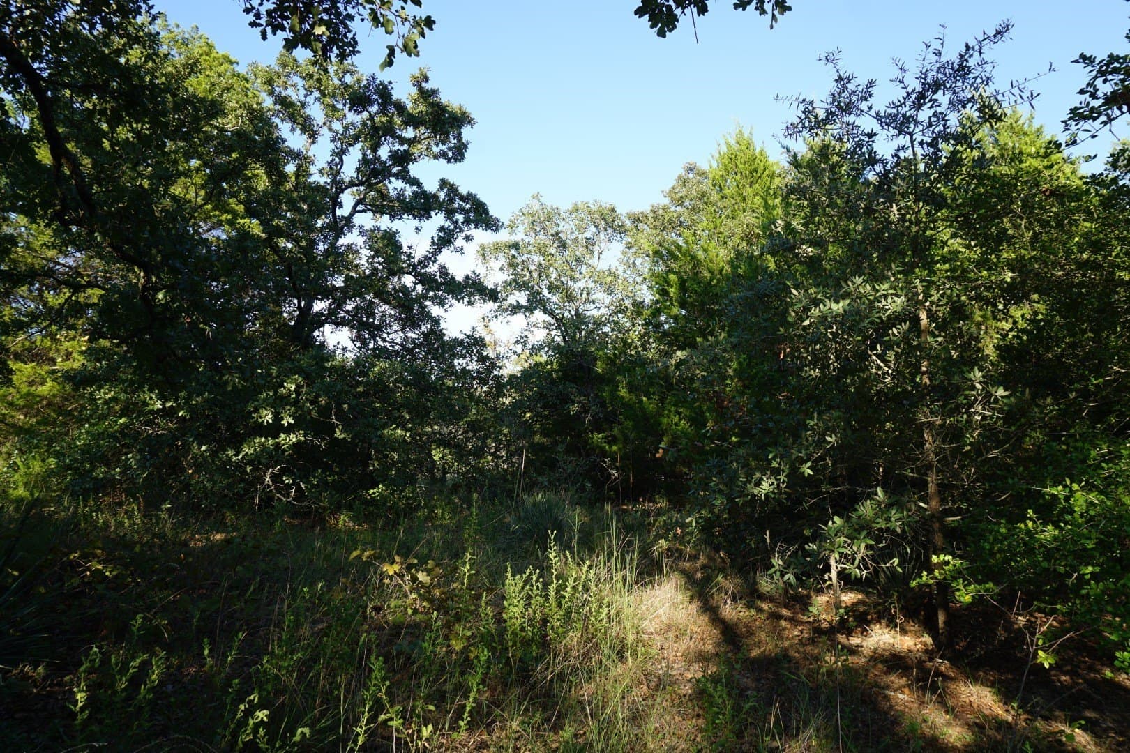 3 acres in Henderson County - photo 26