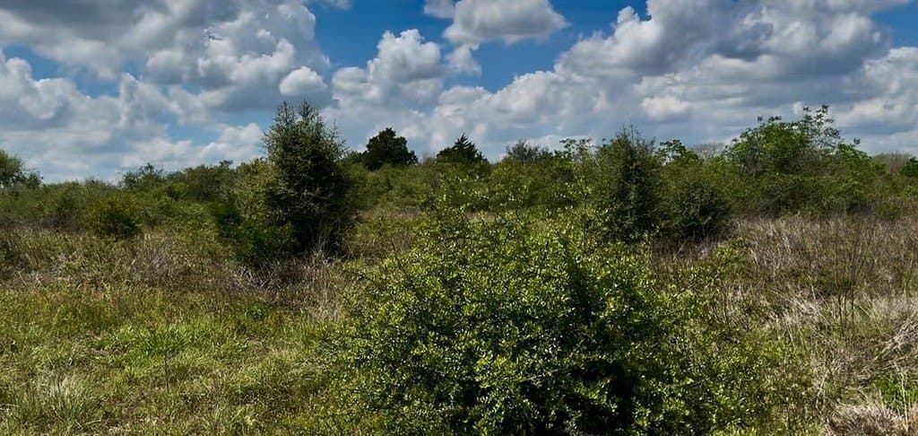 5.2 acres in Austin County - photo 7