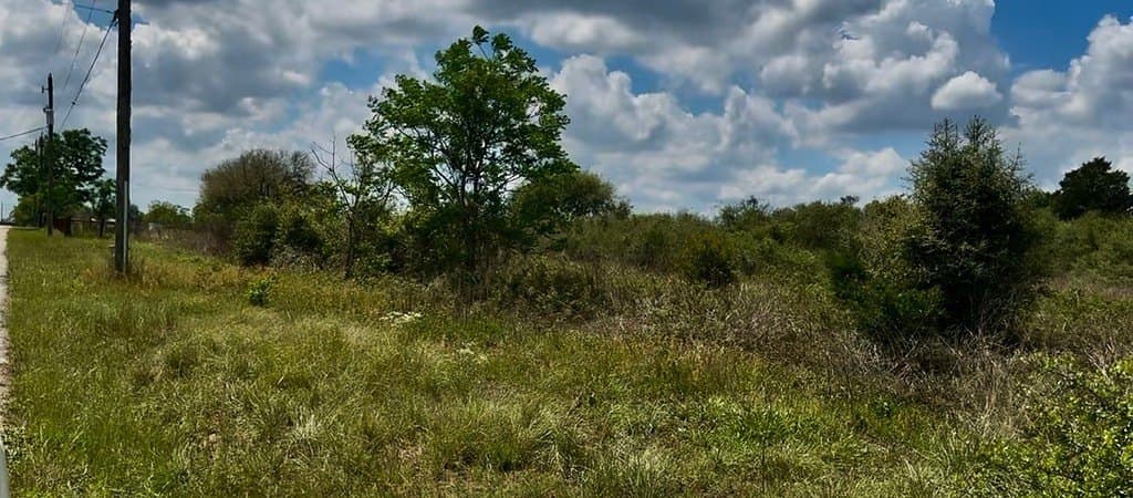 5.2 acres in Austin County - photo 6