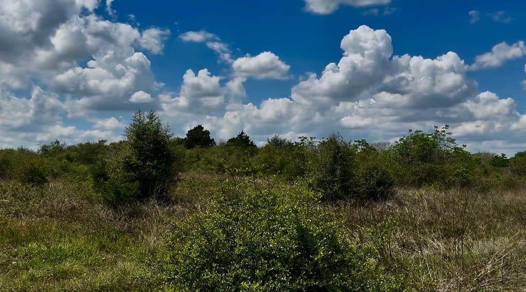 5.2 acres in Austin County