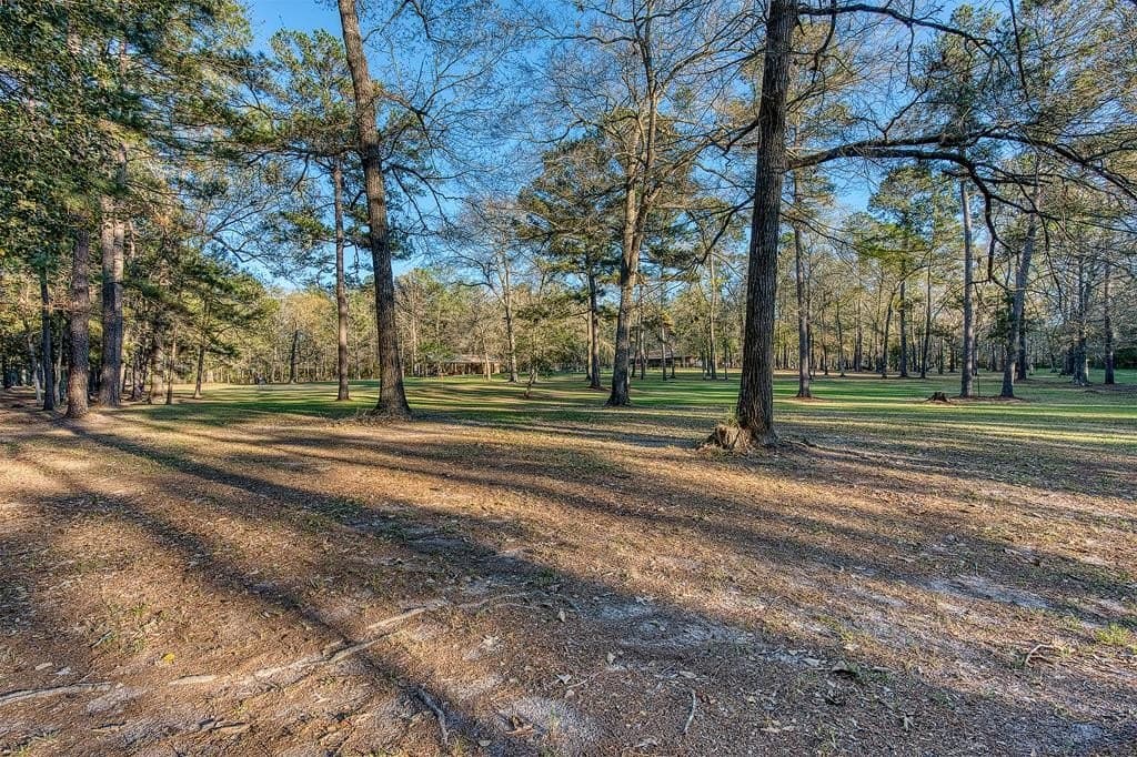 10 acres in Texas County - photo 59