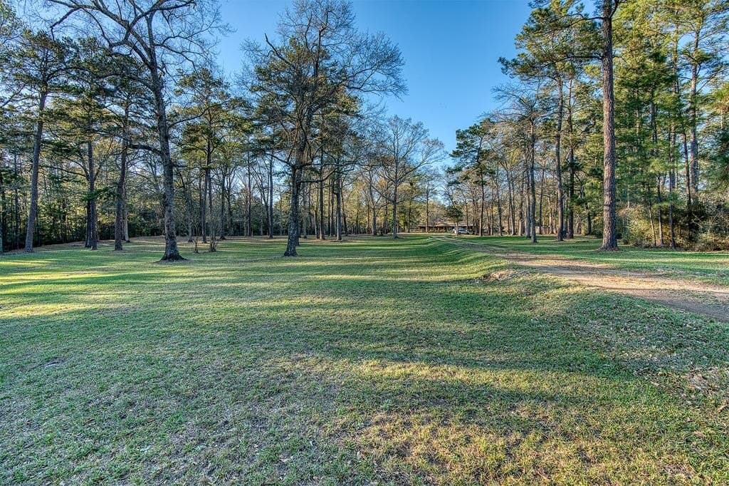 10 acres in Texas County - photo 63