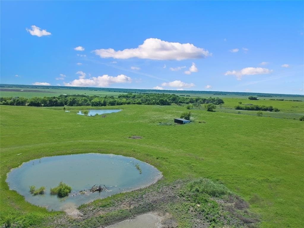 29 acres in Kaufman County gallery image 4