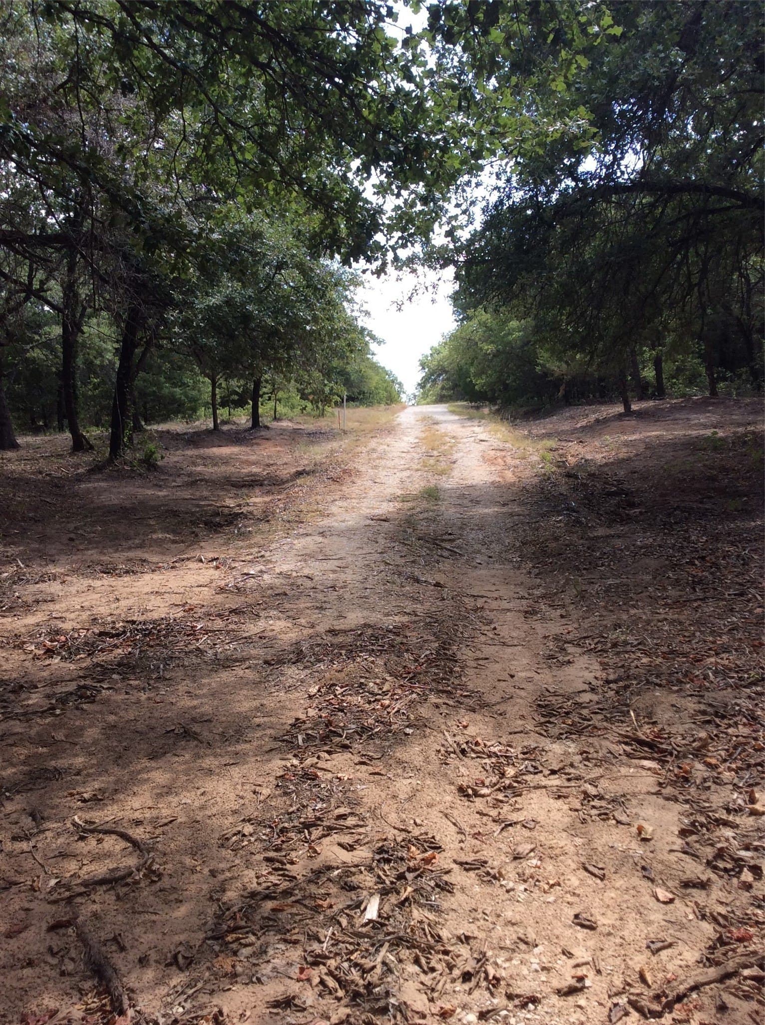 3.56 acres in Montague County - photo 7