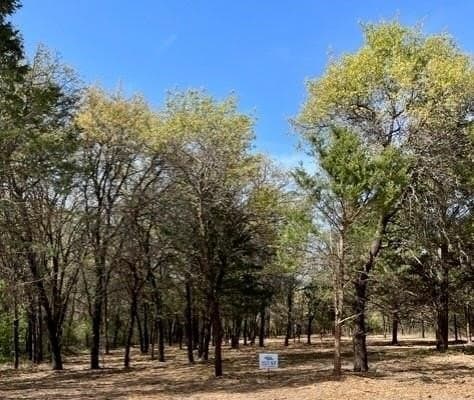 3.56 acres in Montague County