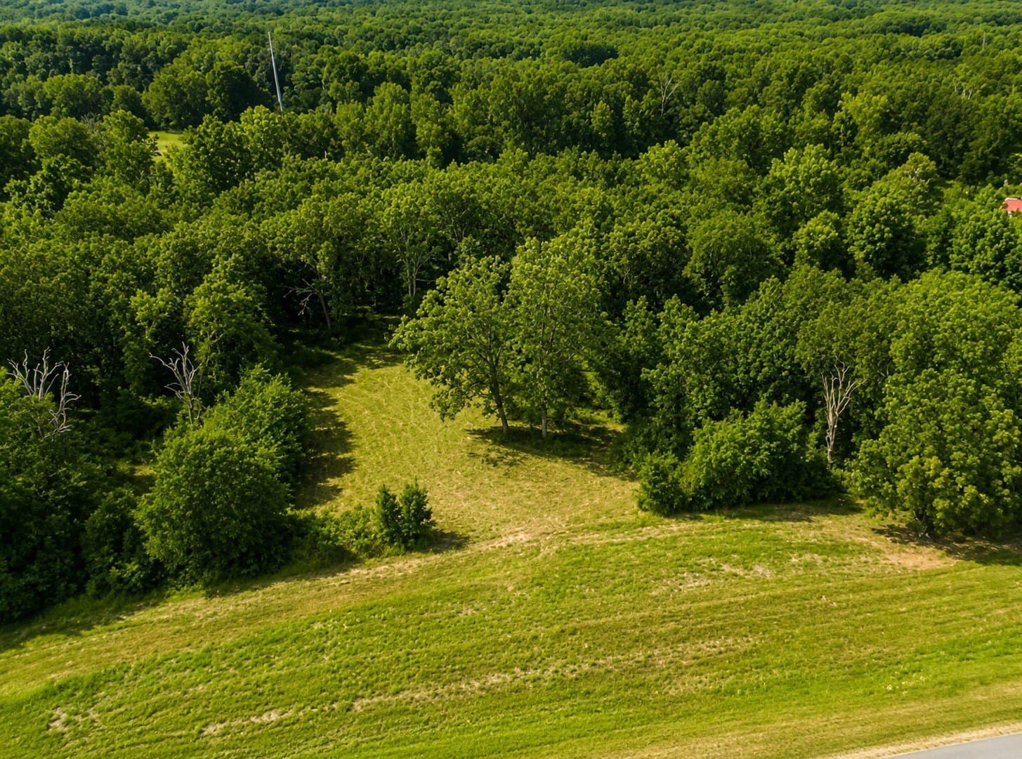 20.91 acres in Smith County - photo 6