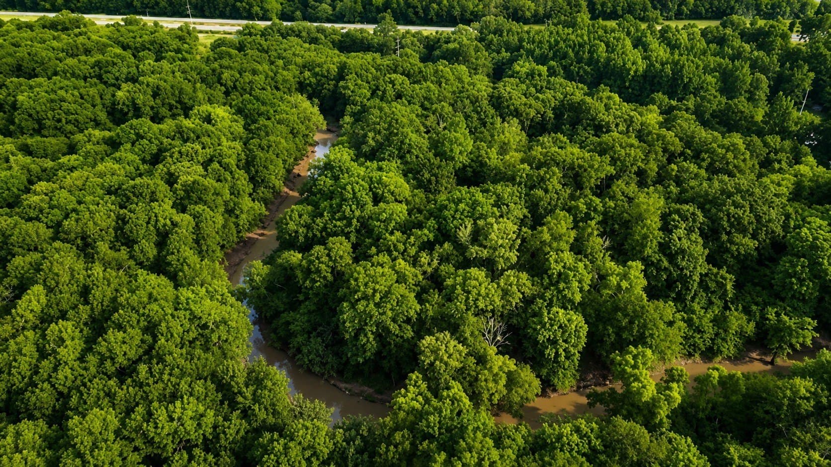 23.25 acres in Smith County gallery image 3