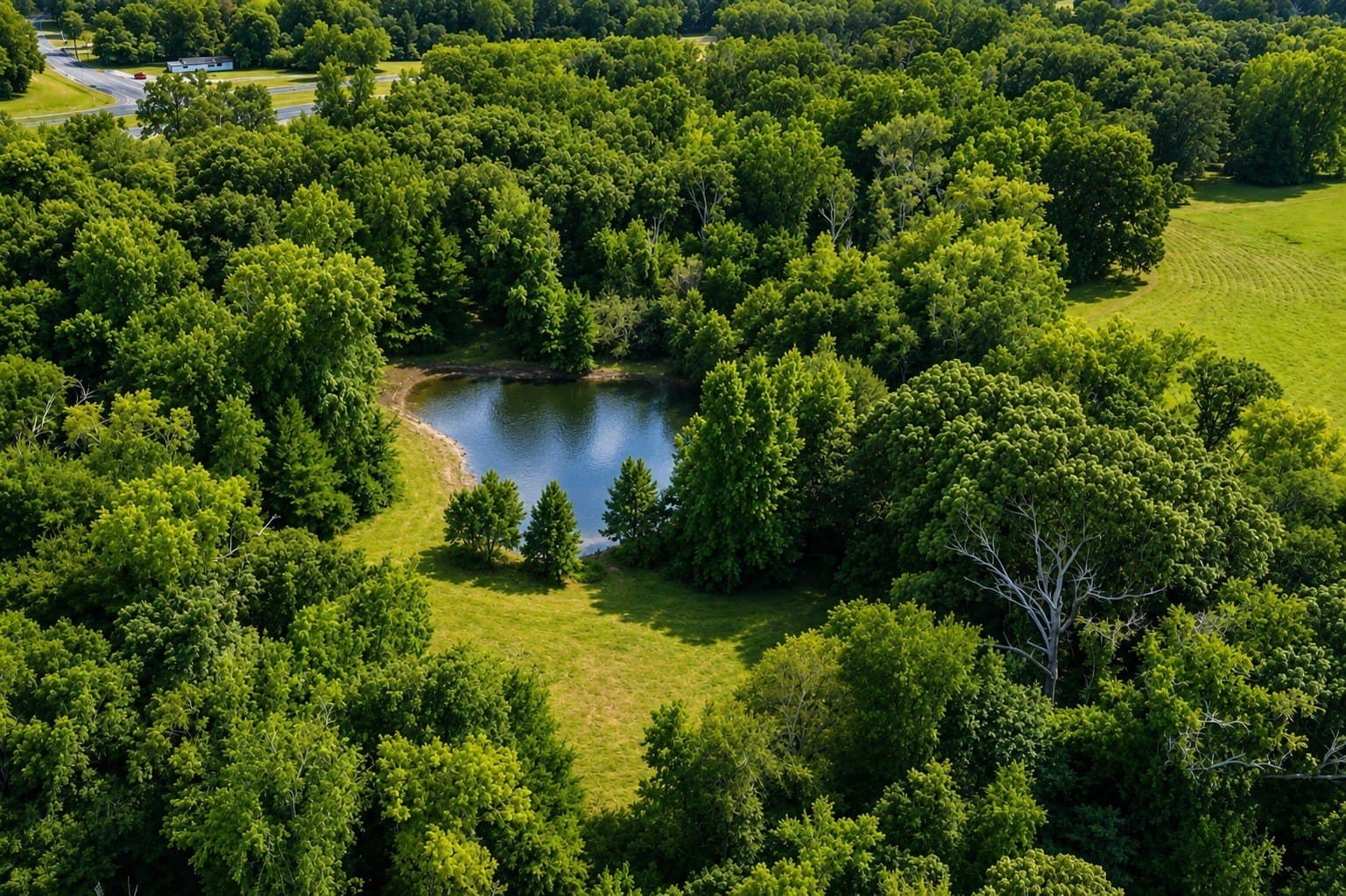 20.91 acres in Smith County - photo 8