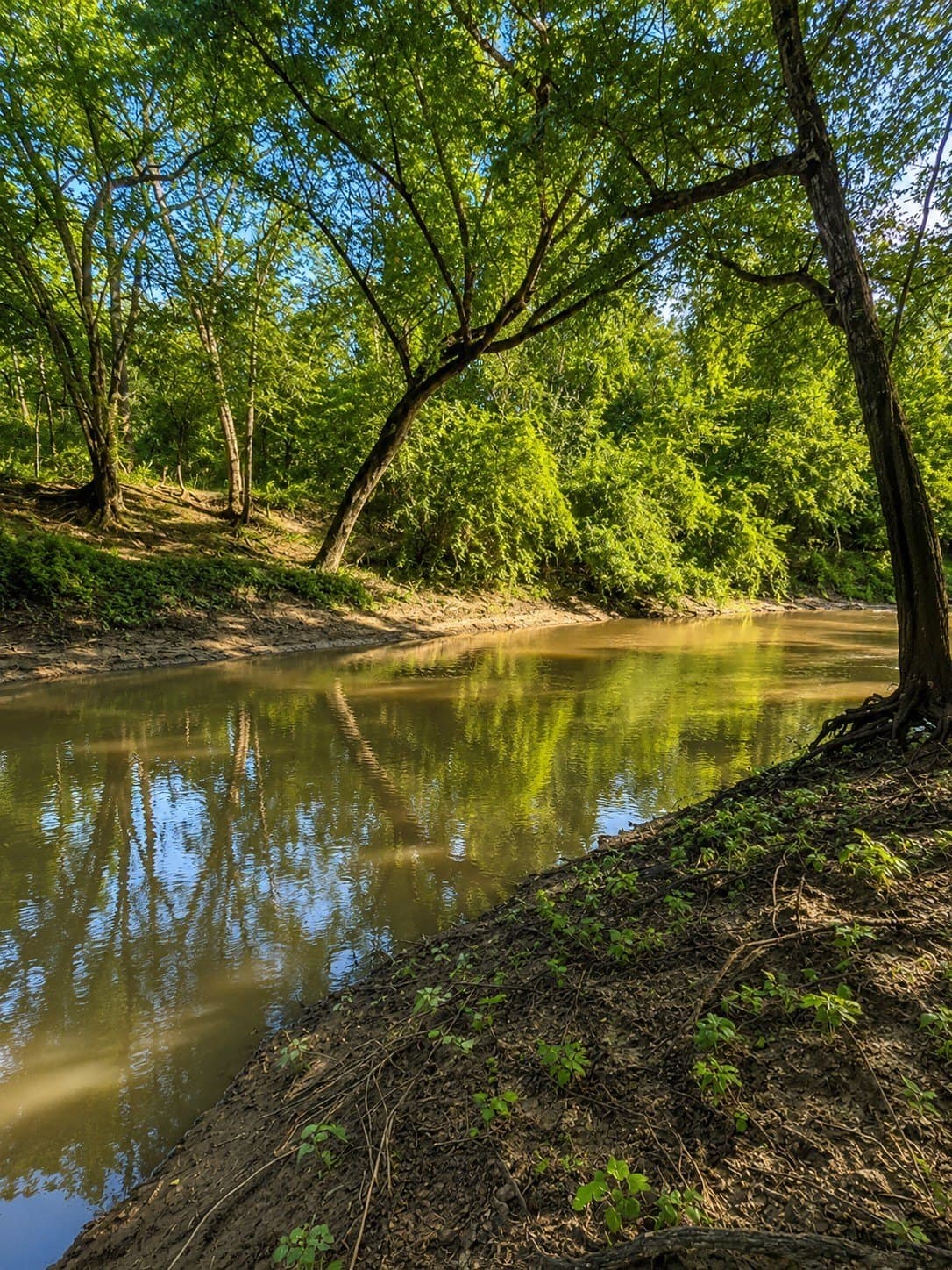 20.91 acres in Smith County - photo 9
