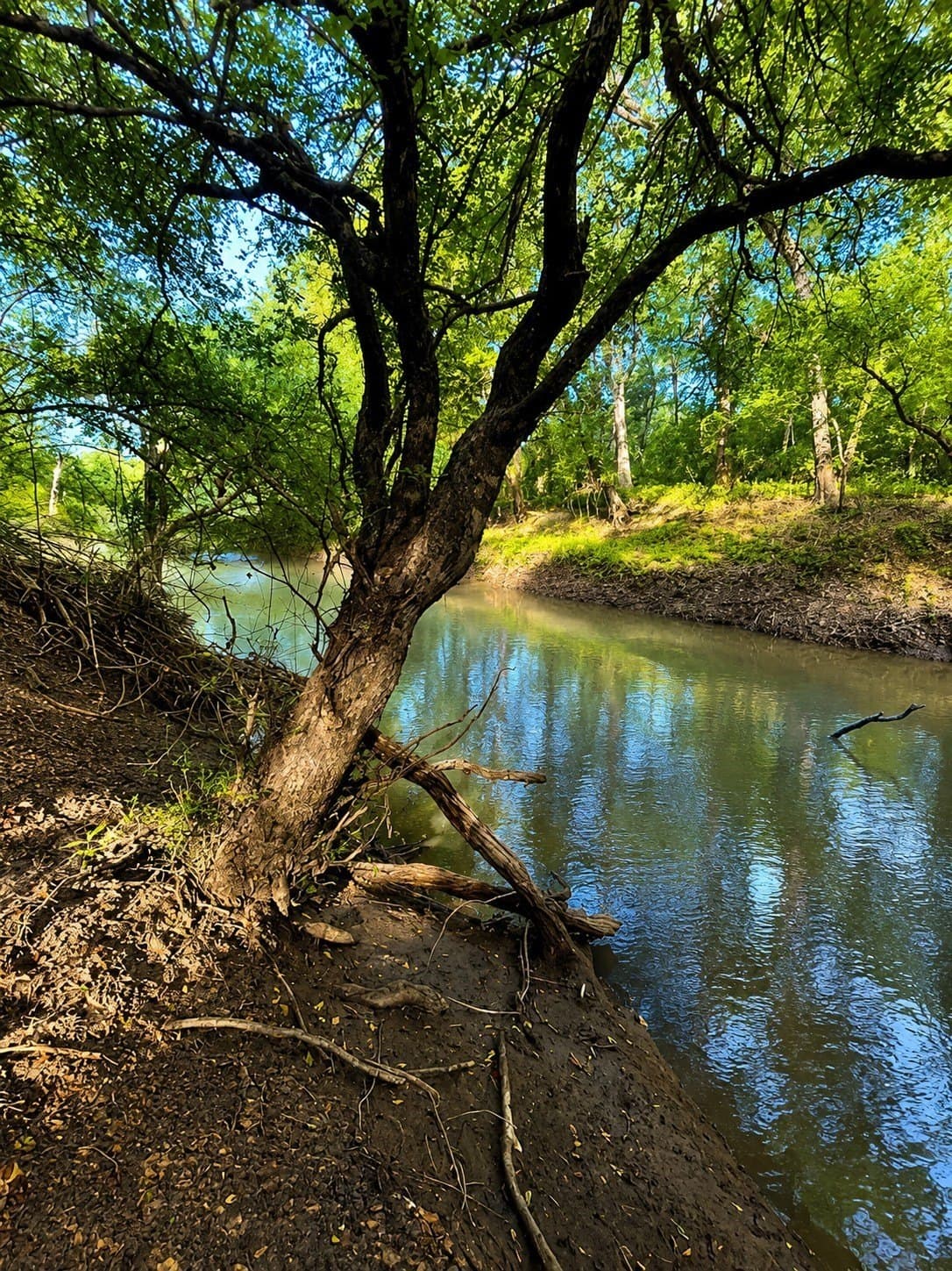 20.91 acres in Smith County - photo 11