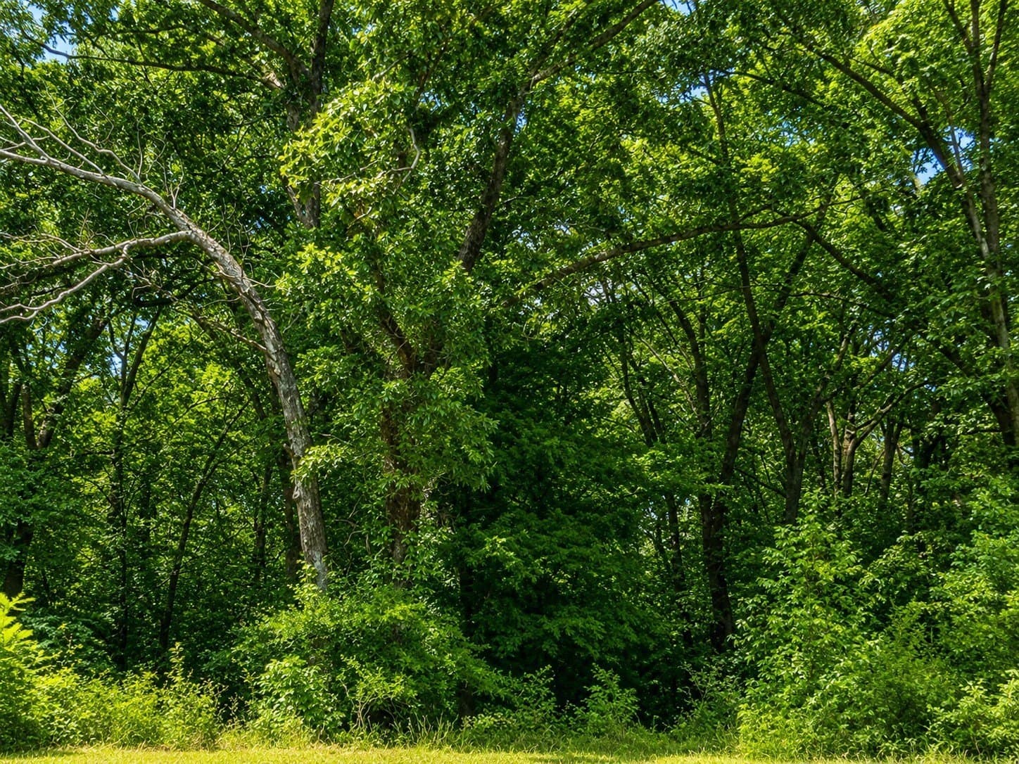 23.25 acres in Smith County featured view