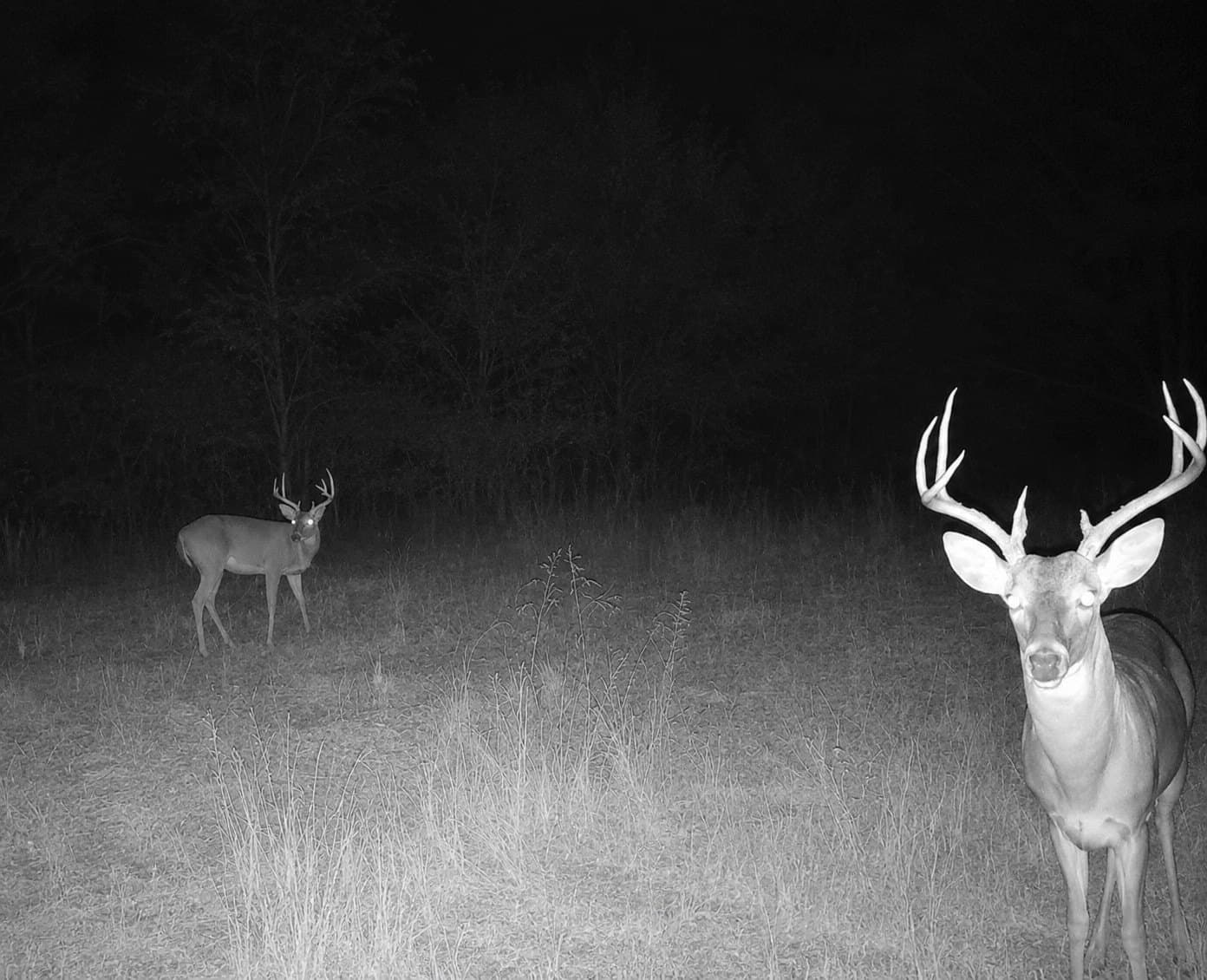 20.91 acres in Smith County - photo 12