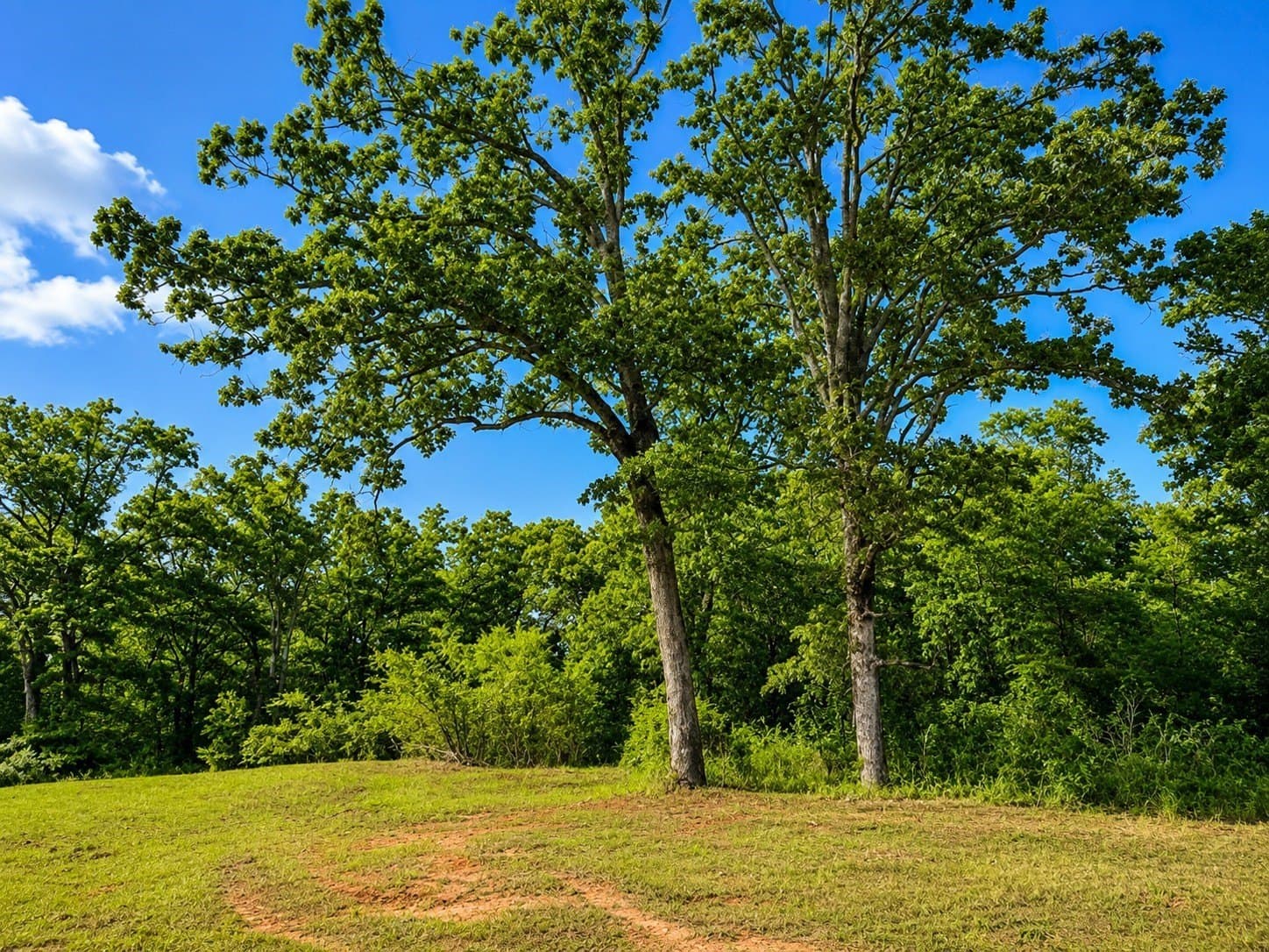 23.25 acres in Smith County gallery image 4