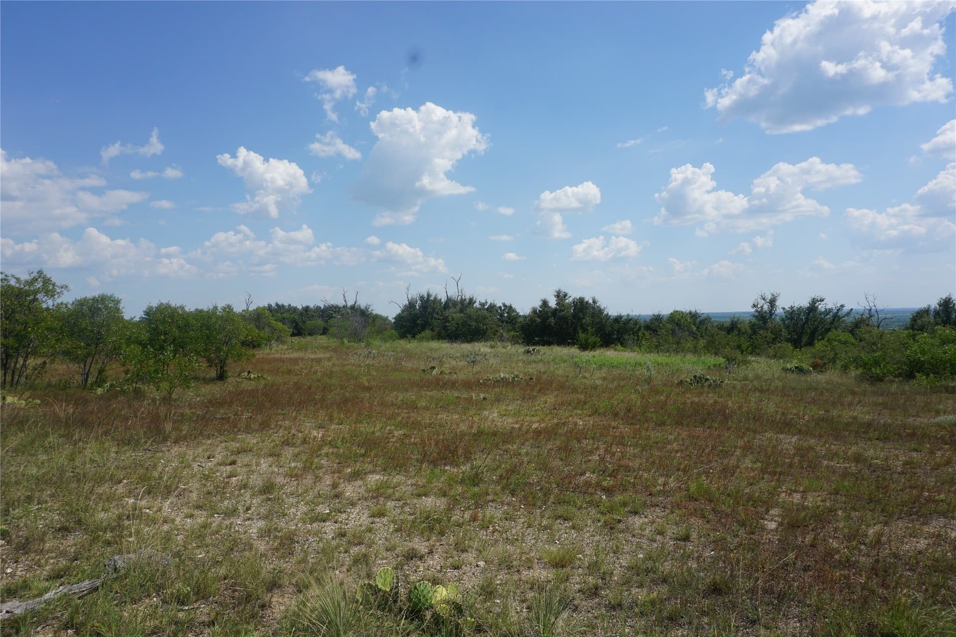 2.01 acres in Palo Pinto County - photo 6