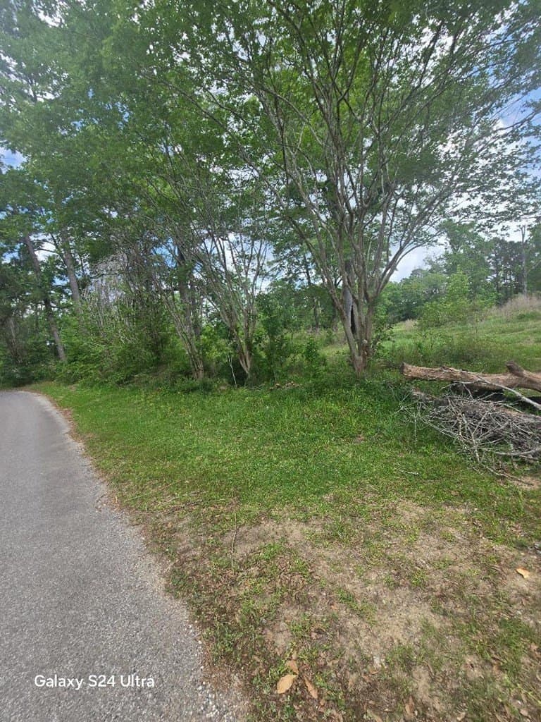 0.66 acres in Texas County gallery image 3