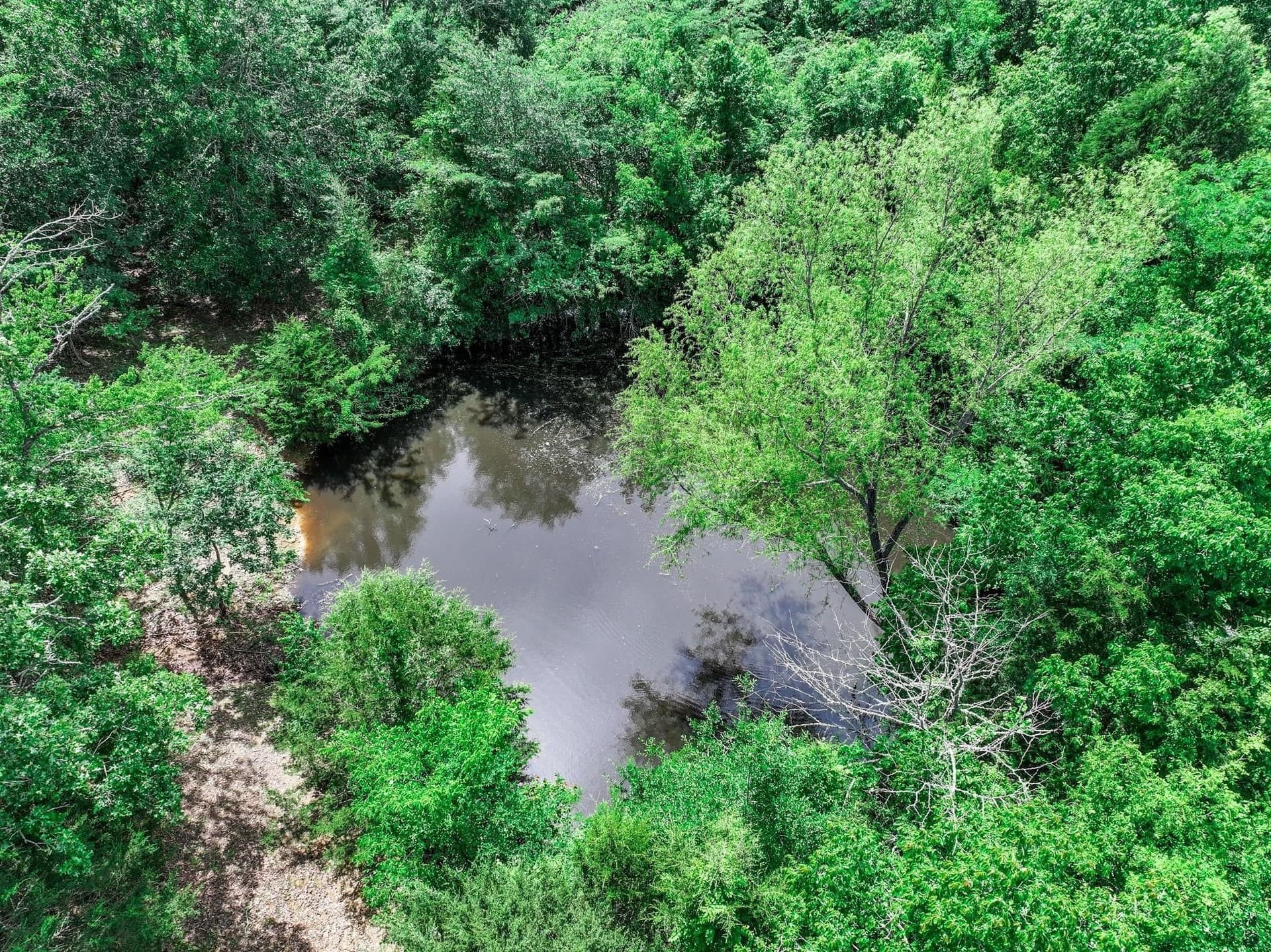 22 acres in Van Zandt County - photo 14