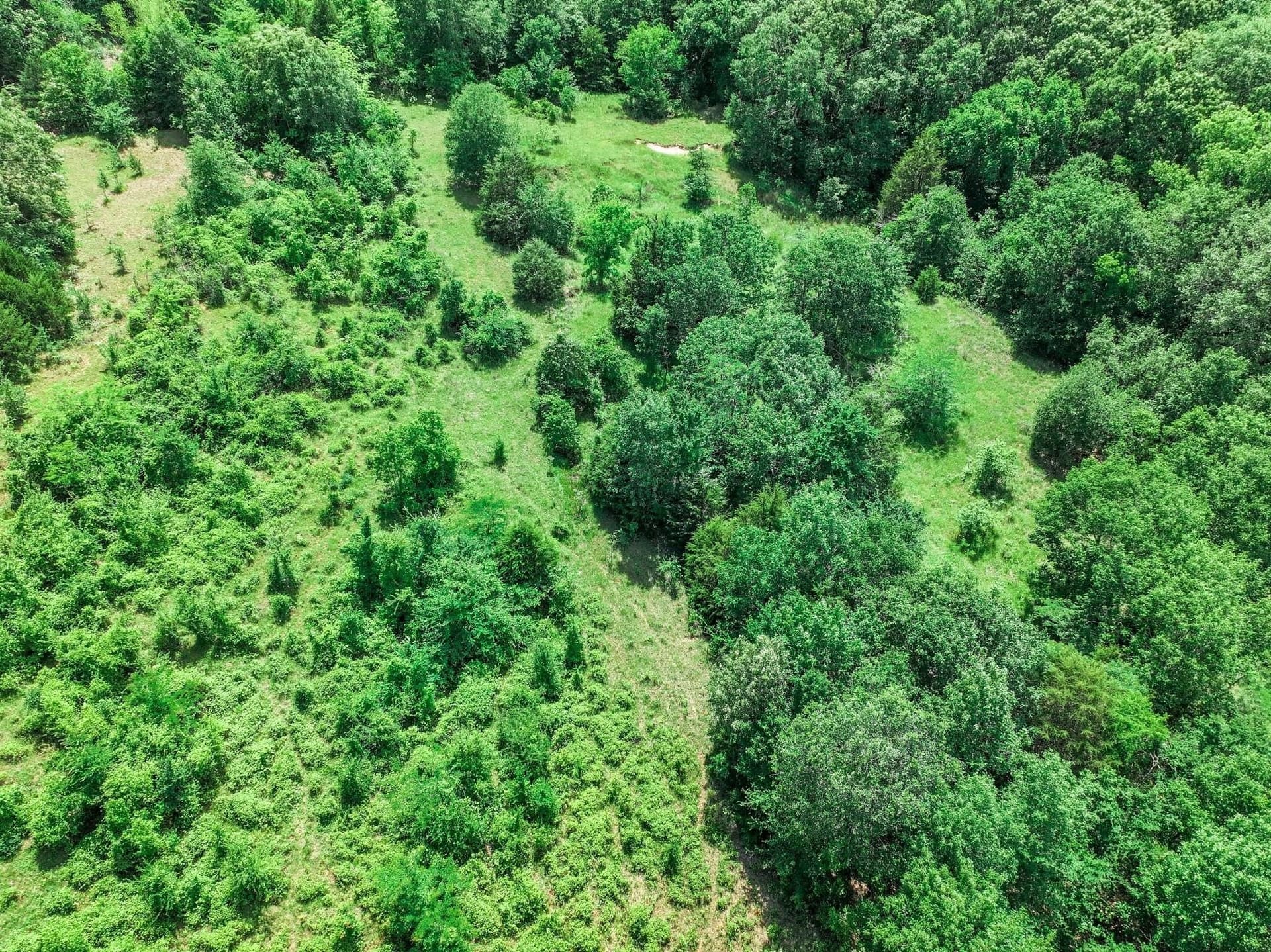 22 acres in Van Zandt County - photo 10
