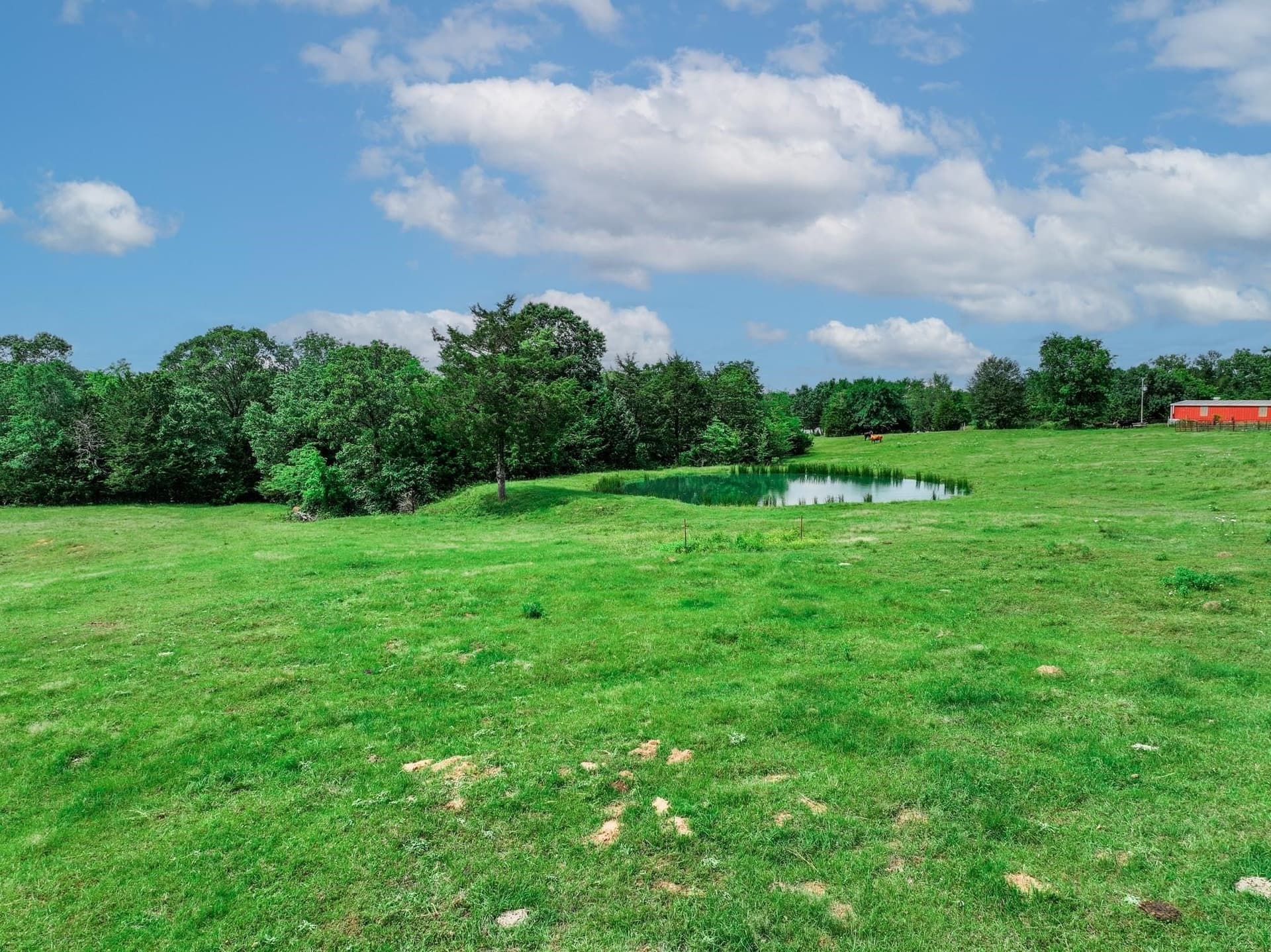 22 acres in Van Zandt County - photo 37