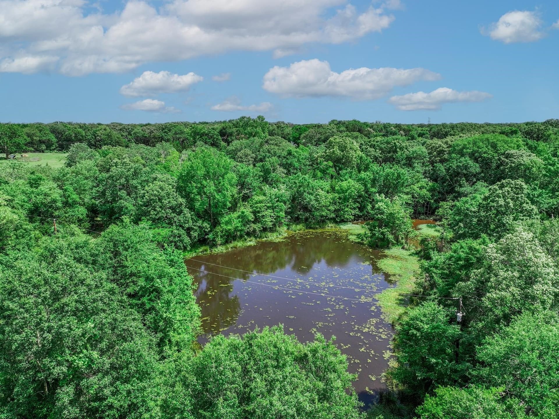 22 acres in Van Zandt County - photo 18