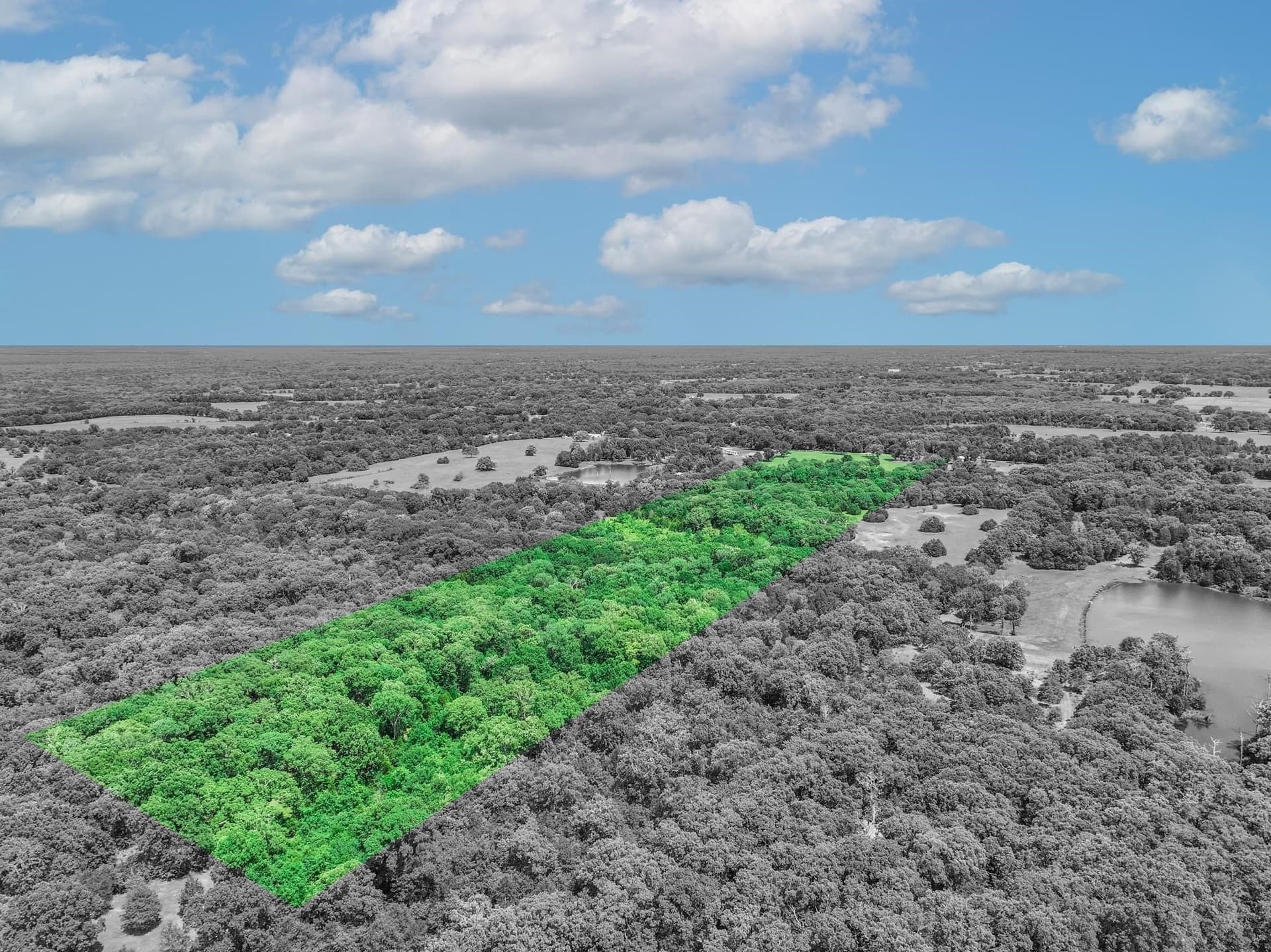 22 acres in Van Zandt County - photo 6