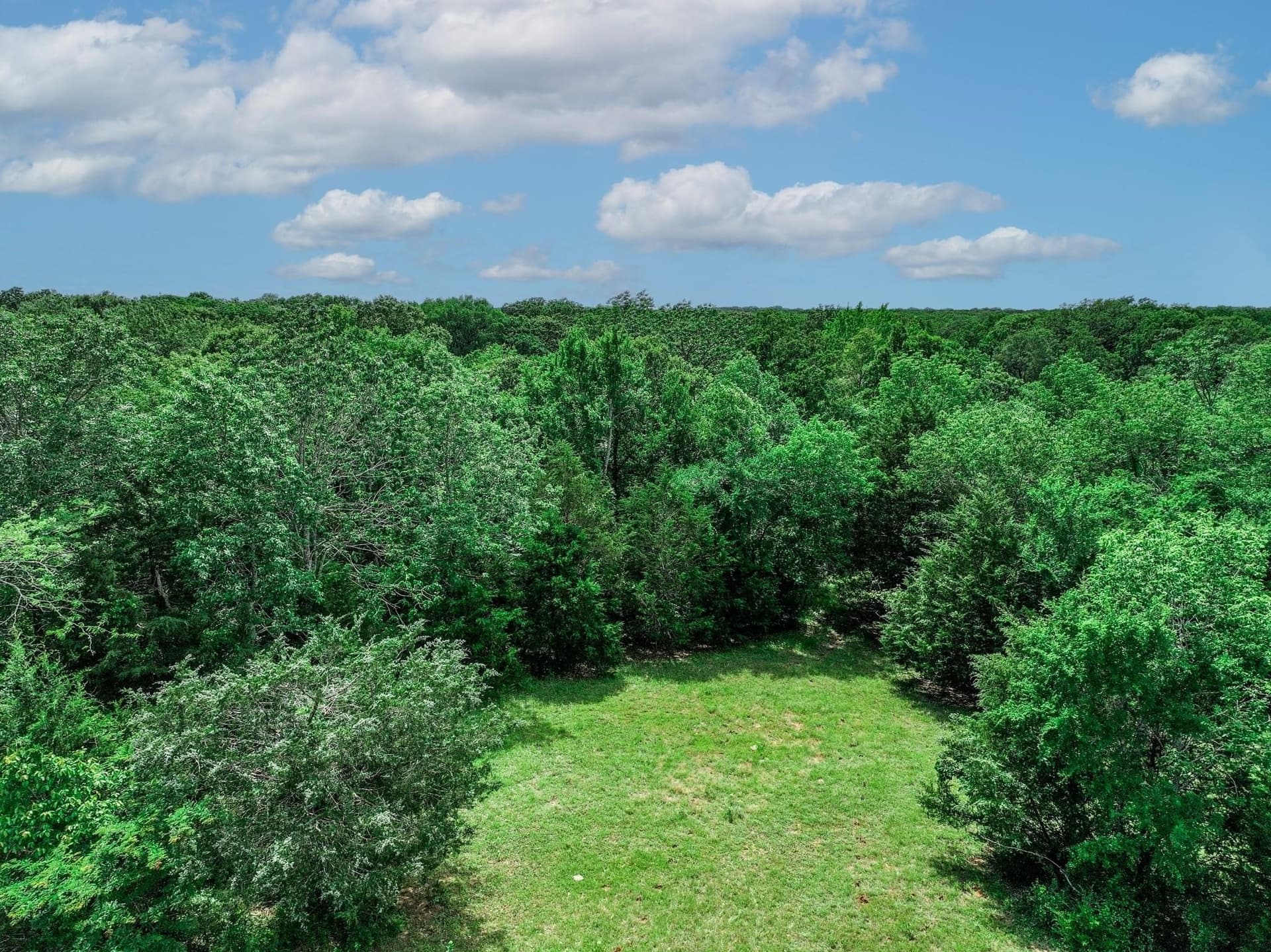 22 acres in Van Zandt County - photo 23
