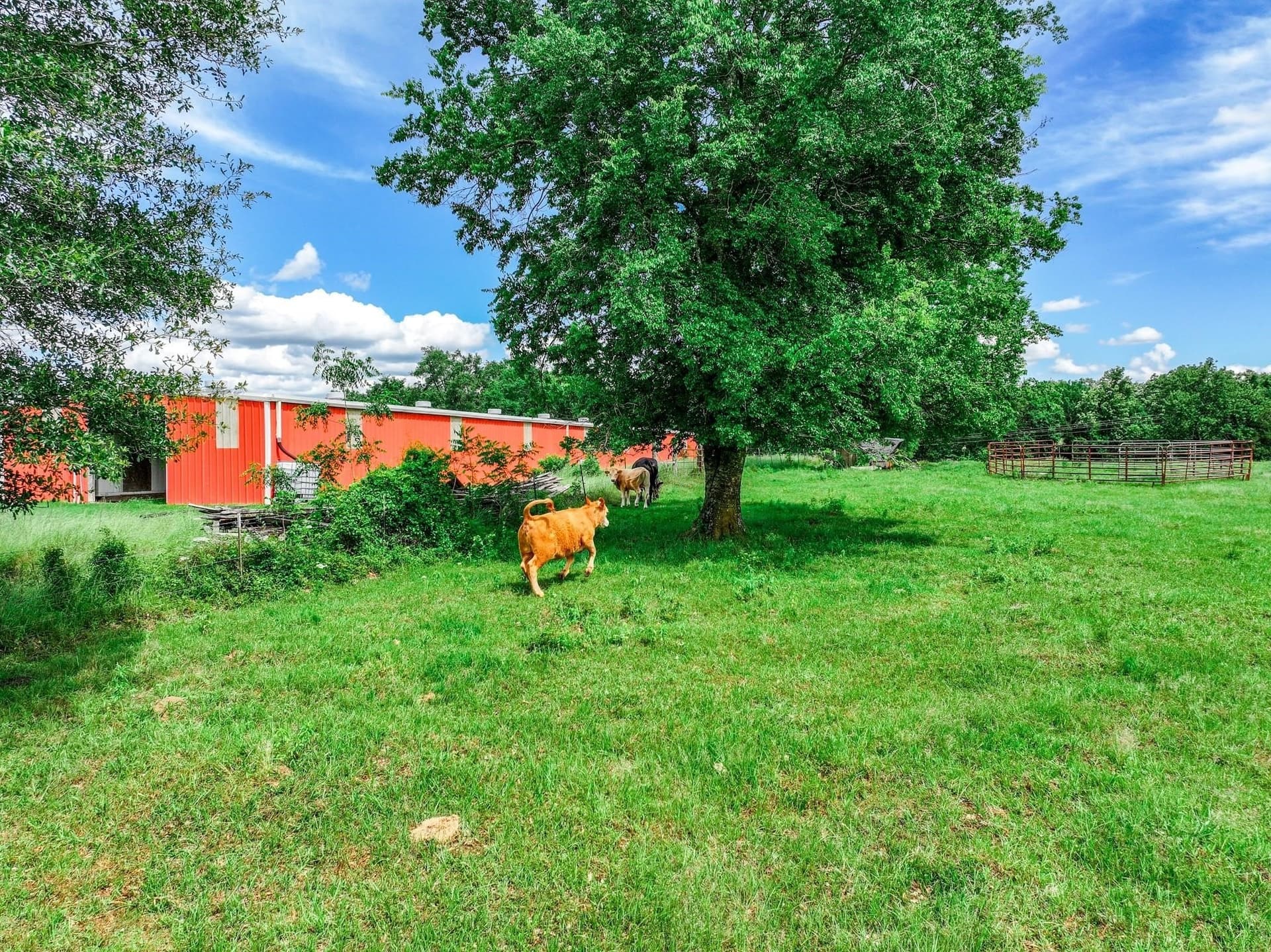 22 acres in Van Zandt County - photo 35