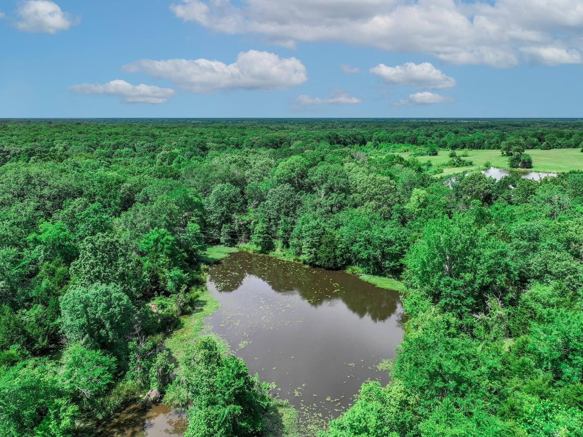 22 acres in Van Zandt County - photo 17