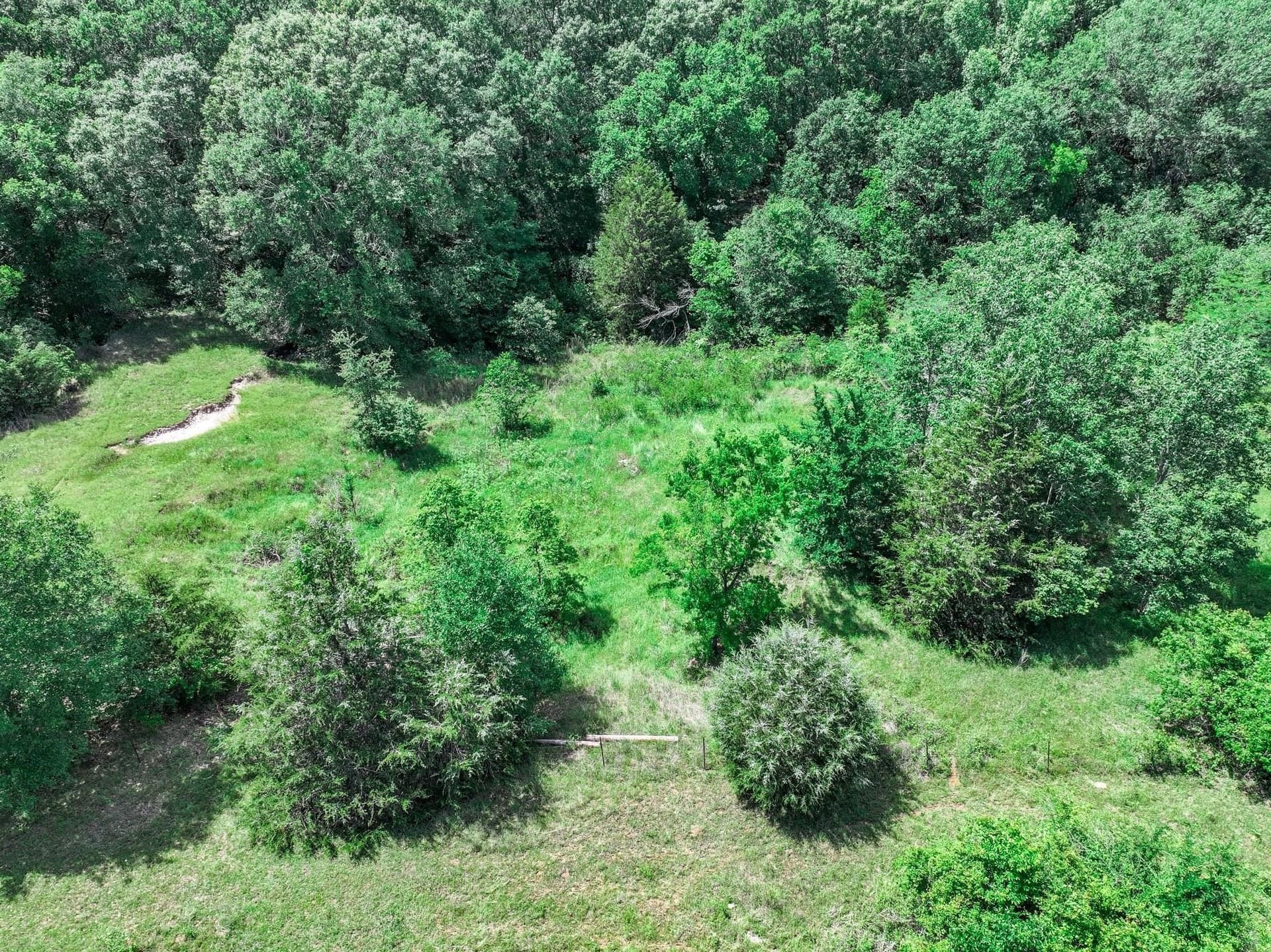 22 acres in Van Zandt County - photo 12