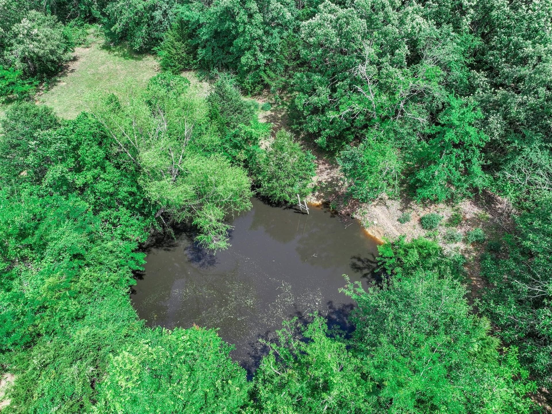 22 acres in Van Zandt County - photo 15