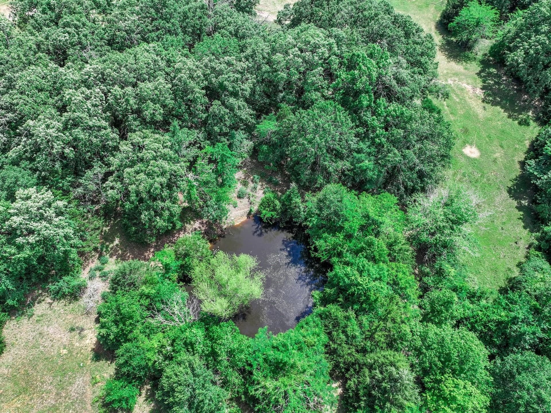 22 acres in Van Zandt County - photo 13
