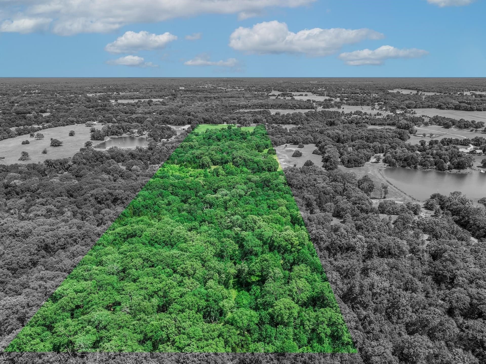22 acres in Van Zandt County gallery image 4