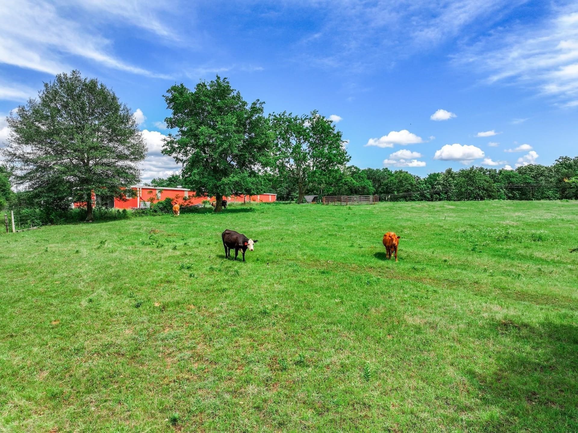 22 acres in Van Zandt County - photo 34
