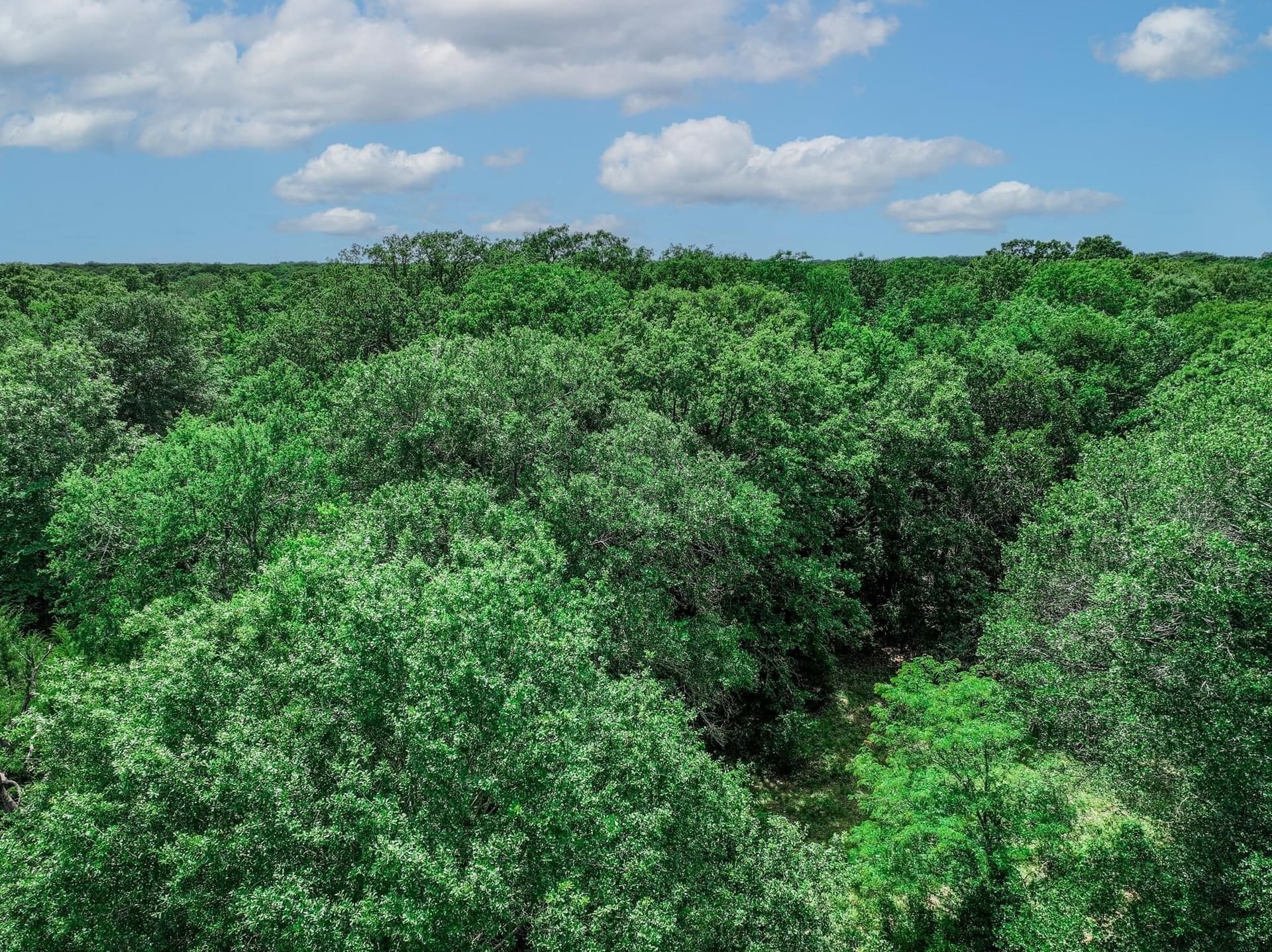 22 acres in Van Zandt County - photo 20